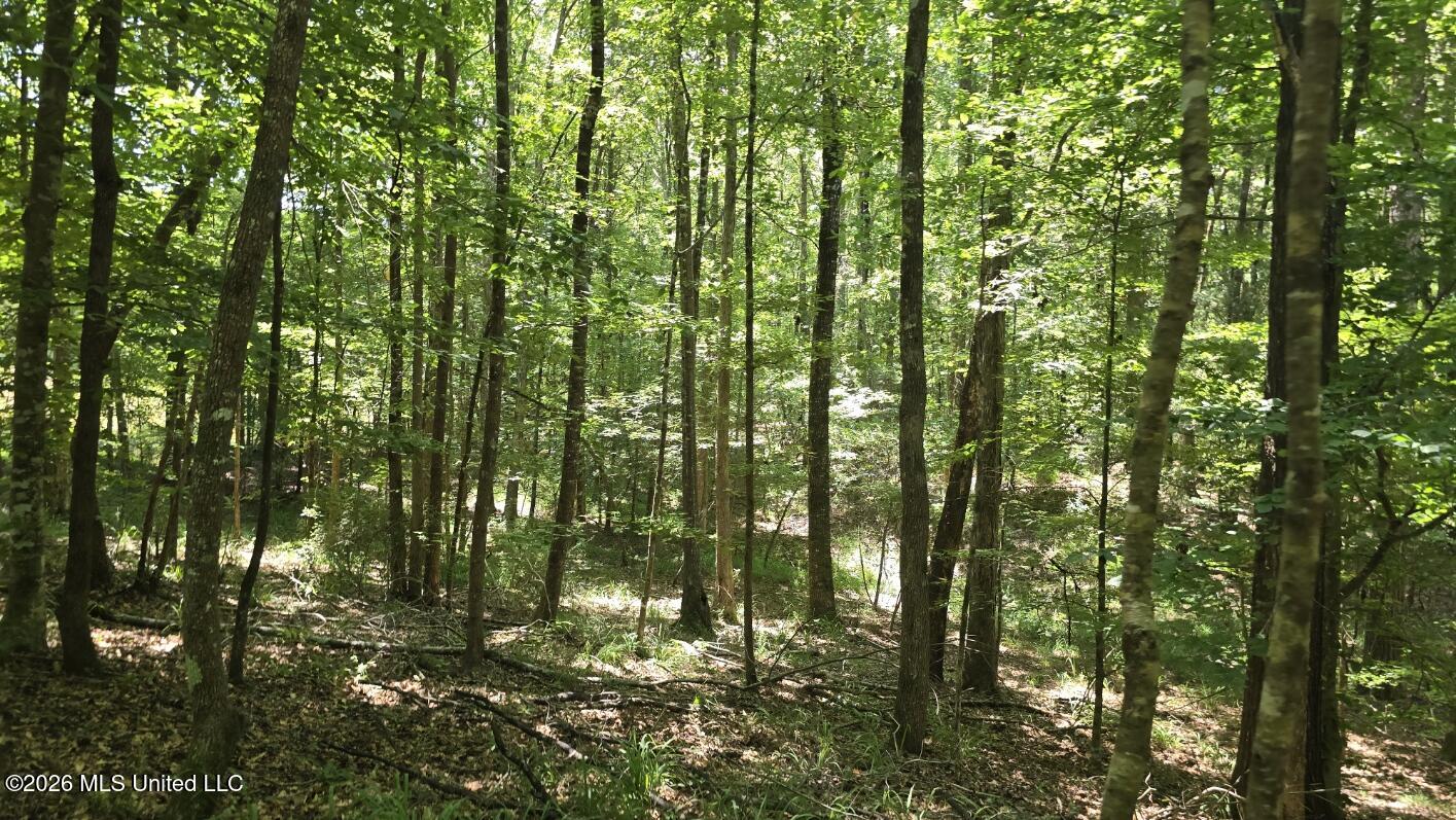 3995 Choctaw Road Brookhaven, MS 39601 - Photo 62 of 73 20260709_114936