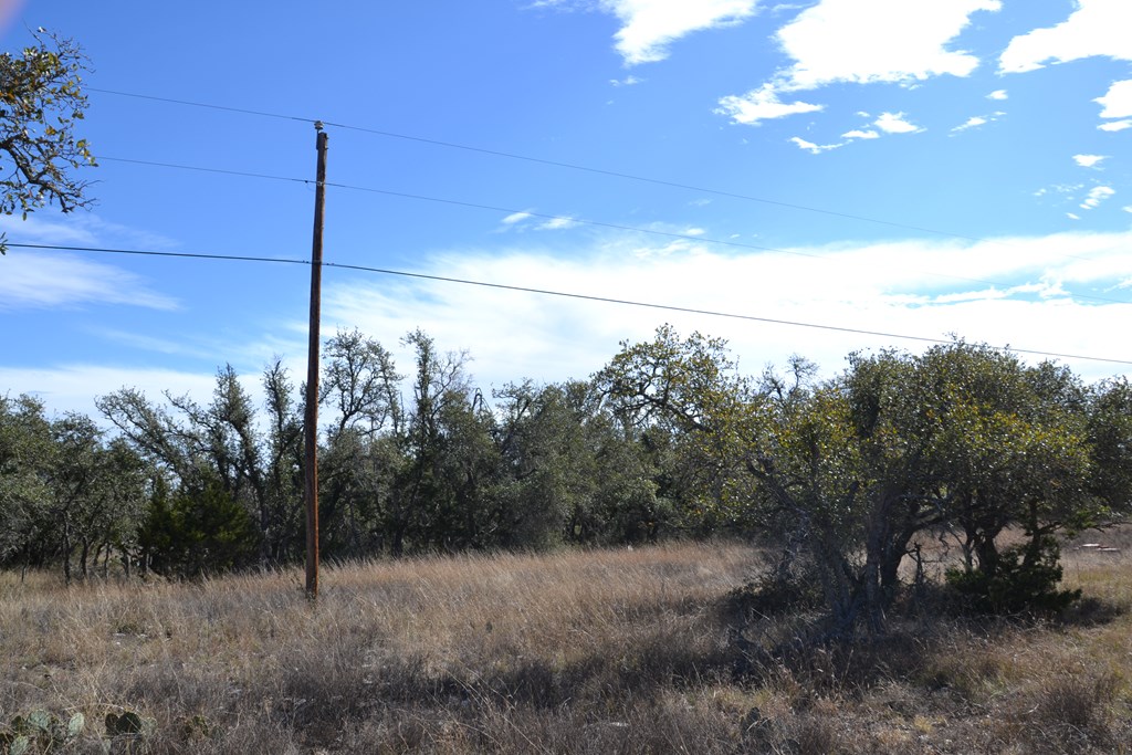 1152 Duderstadt Road Harper, TX 78631 - Photo 12 of 31
