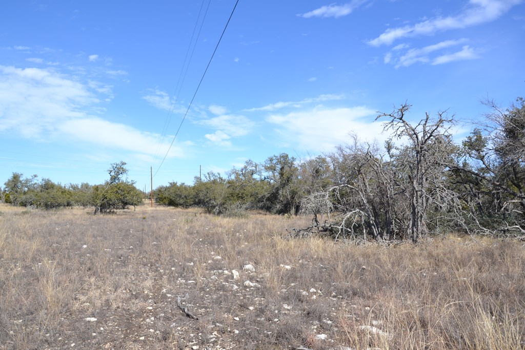 1152 Duderstadt Road Harper, TX 78631 - Photo 14 of 31