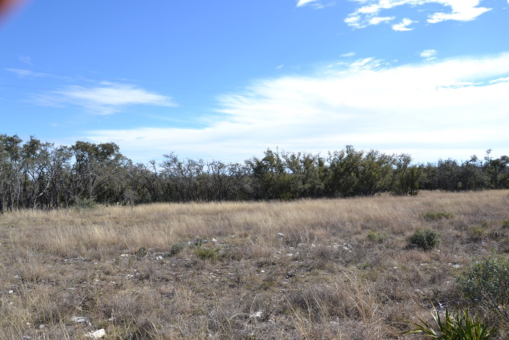 1152 Duderstadt Road Harper, TX 78631 - Photo 15 of 31