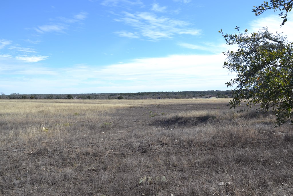 1152 Duderstadt Road Harper, TX 78631 - Photo 4 of 31