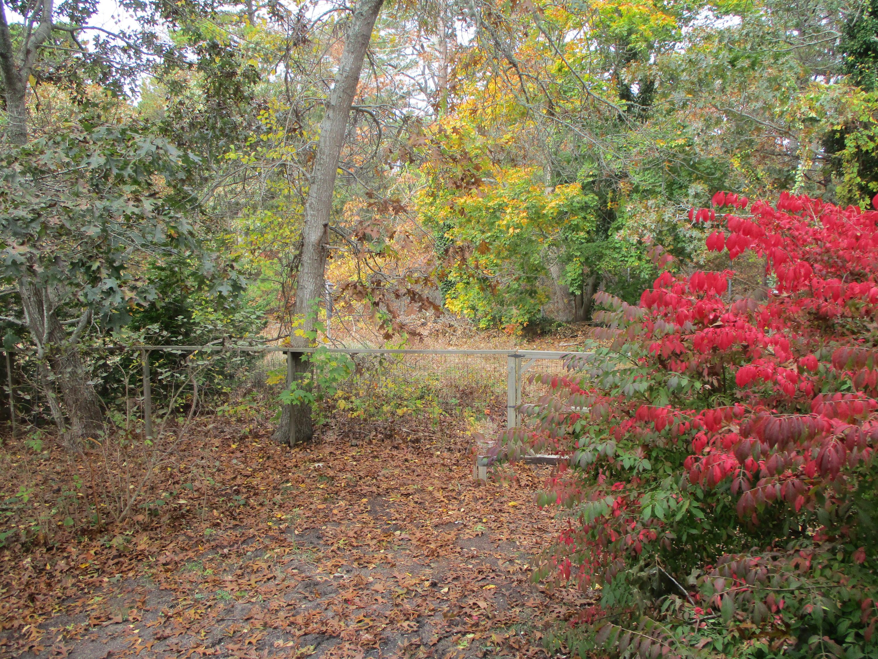 210 West Road, Unit B15 Wellfleet, MA 02667 - Photo 3 of 33 IMG_0540