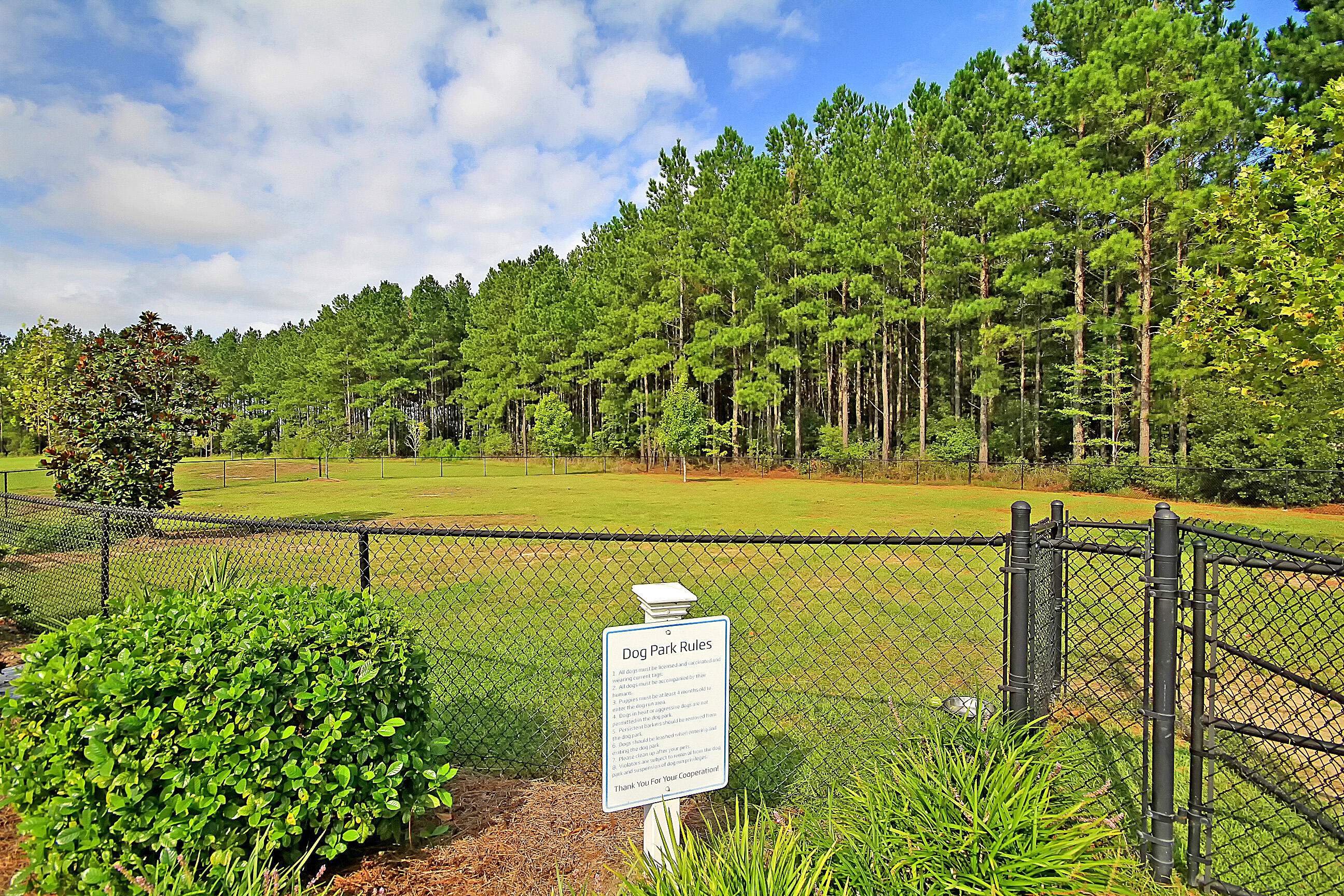 303 Fox Gap Road Summerville, SC 29486 - Photo 44 of 45 IMG_2508 copy