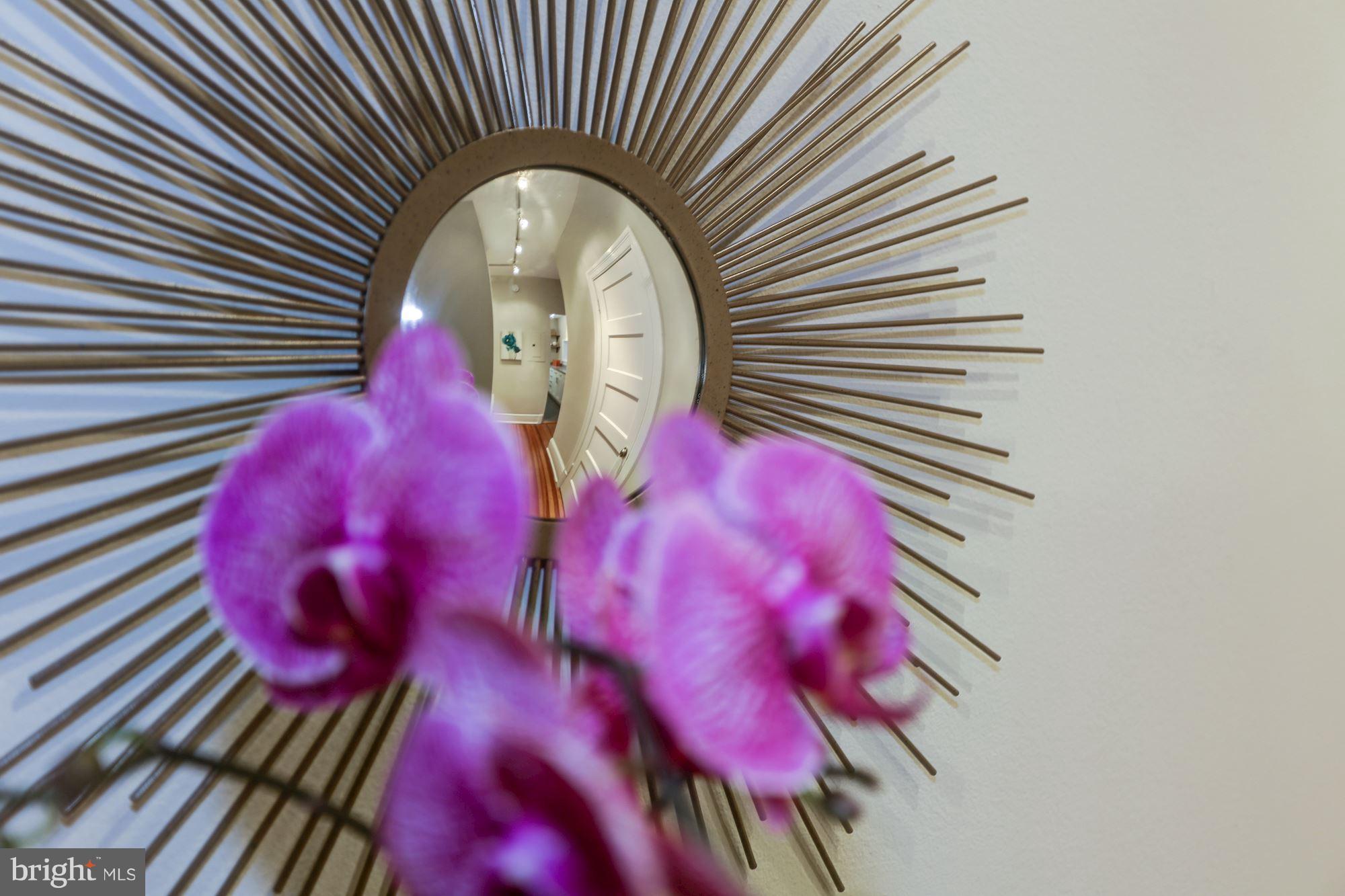 1322 15th Street Northwest, Unit 32 Washington, DC 20005 - Photo 4 of 20 Accent wall decor