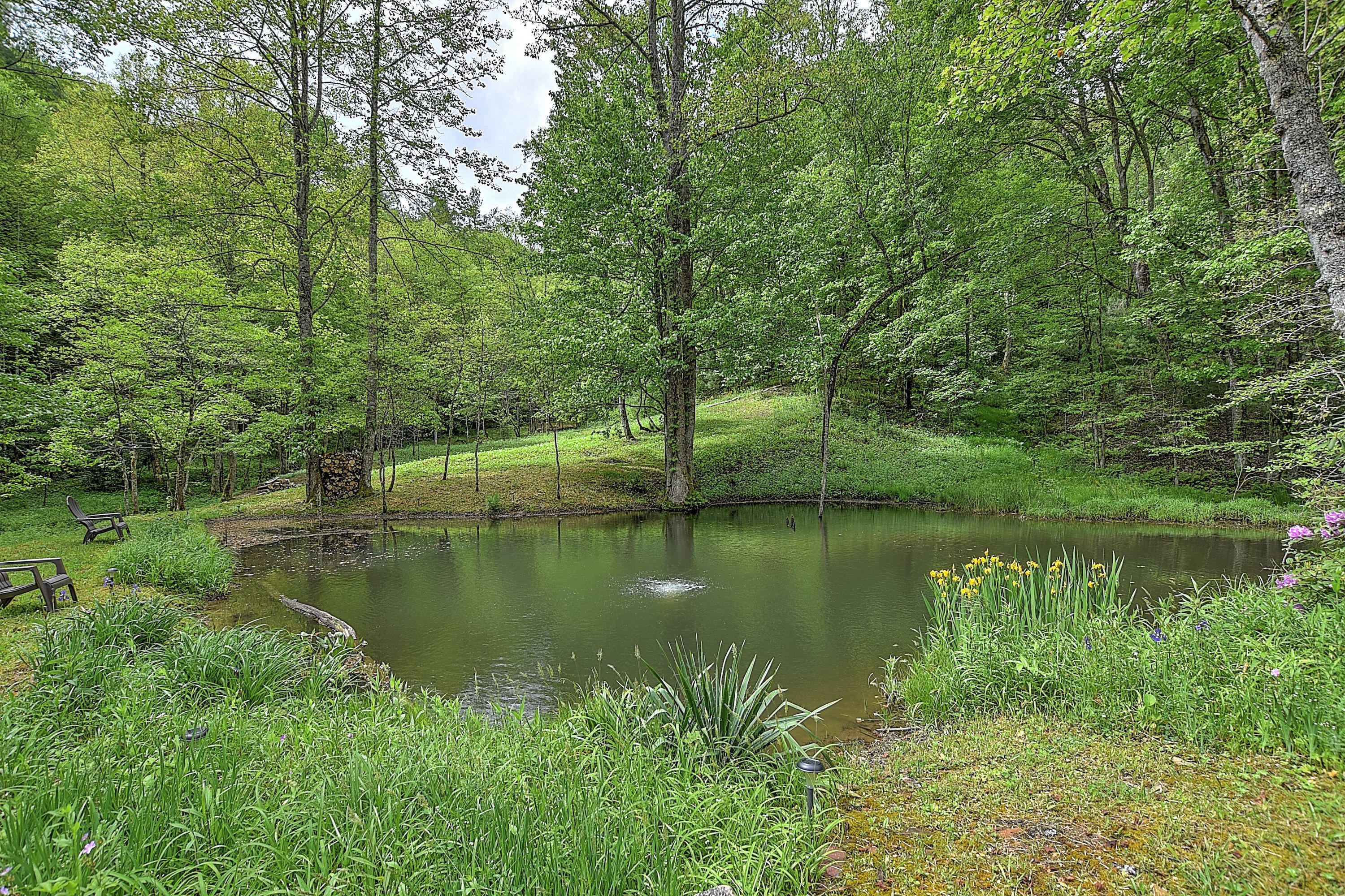 711 Simerly Creek Road Hampton, TN 37658 - Photo 29 of 38 709 SImmerly Creek-26