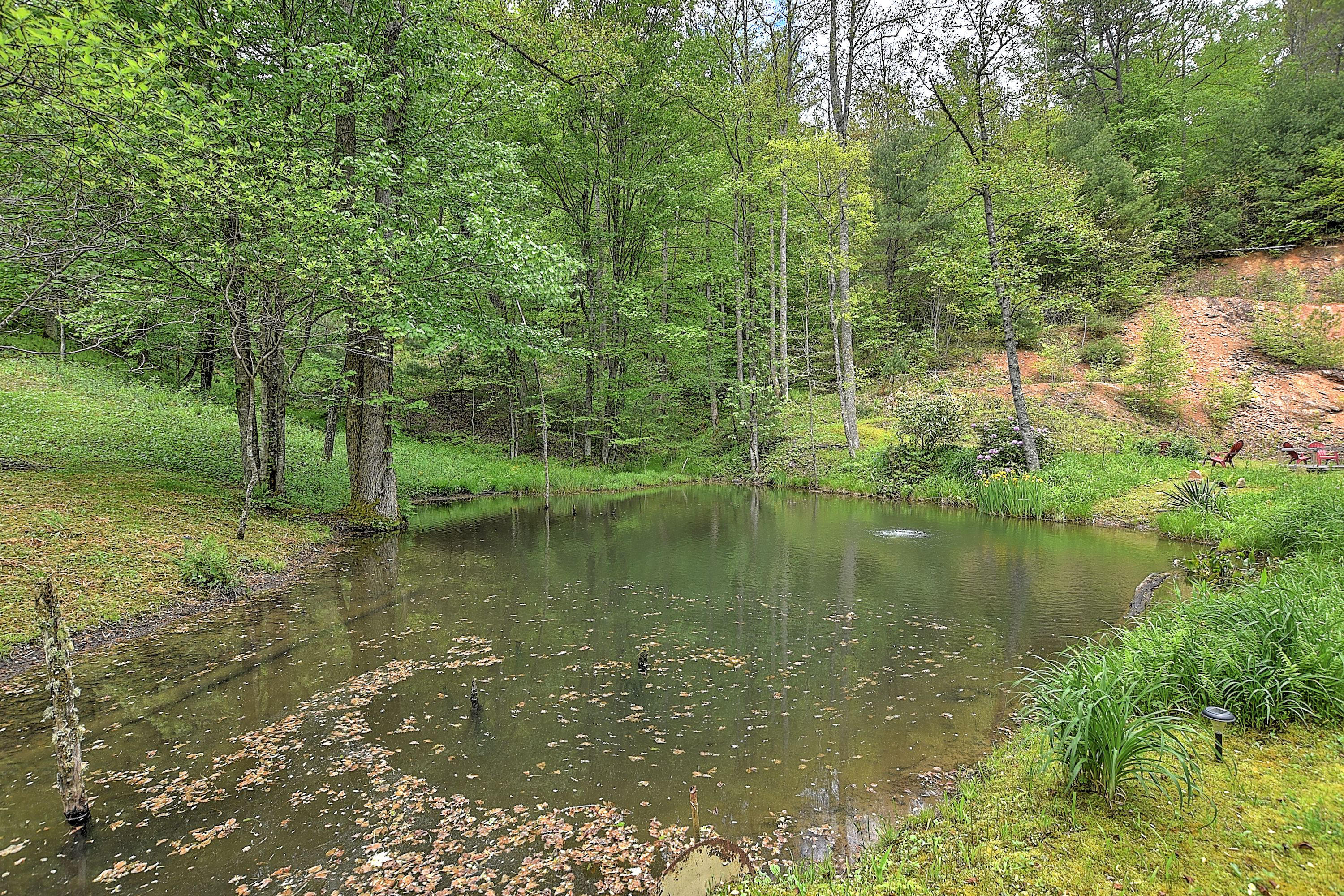 711 Simerly Creek Road Hampton, TN 37658 - Photo 31 of 38 709 SImmerly Creek-28