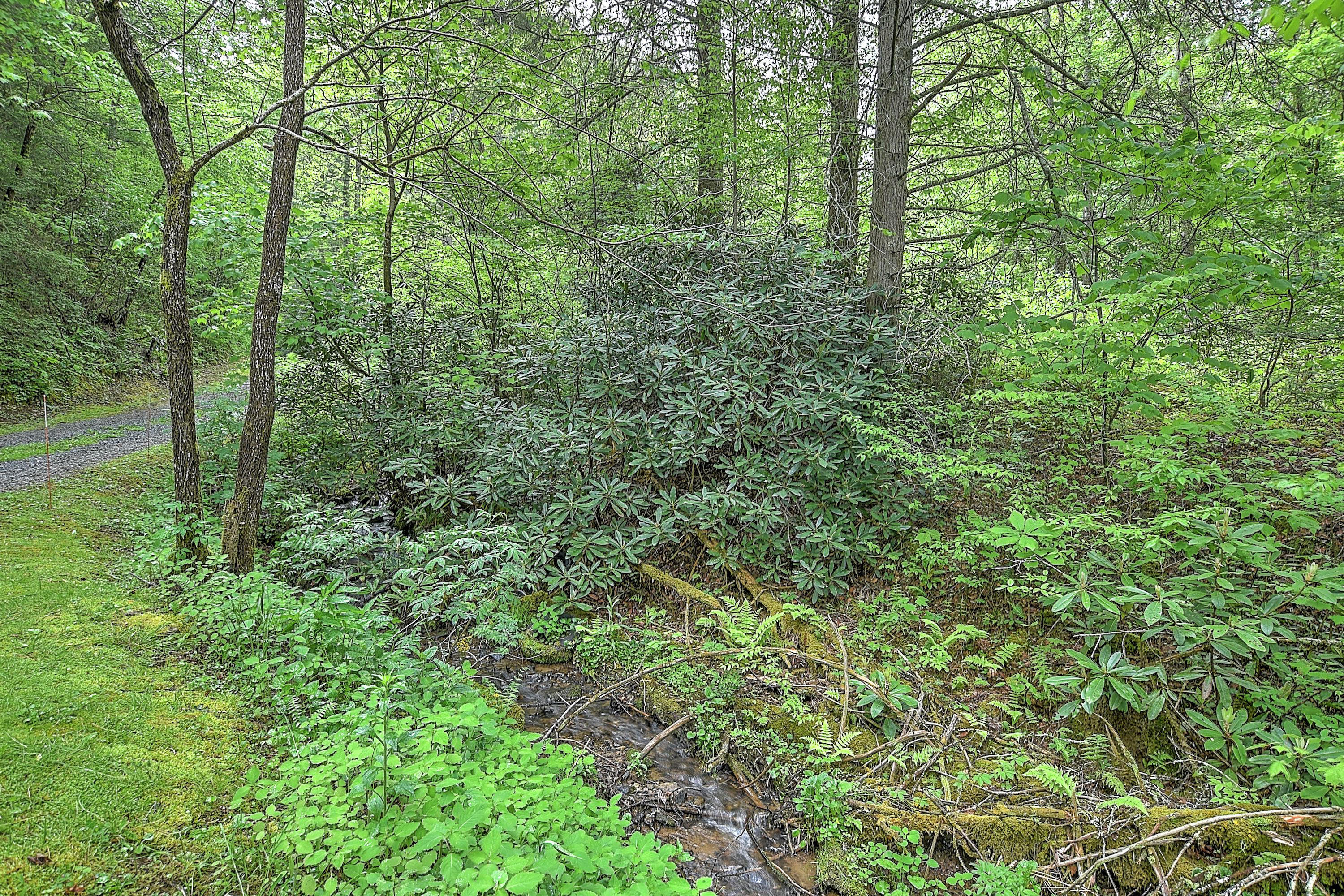 711 Simerly Creek Road Hampton, TN 37658 - Photo 34 of 38 709 SImmerly Creek-39