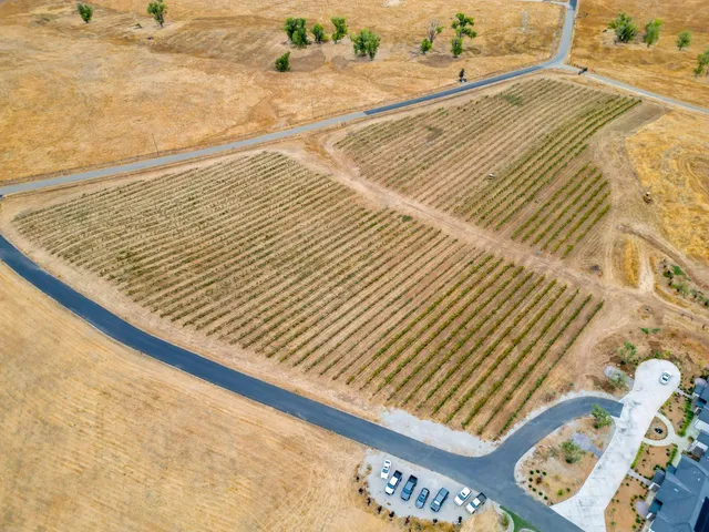 a view of an ocean beach