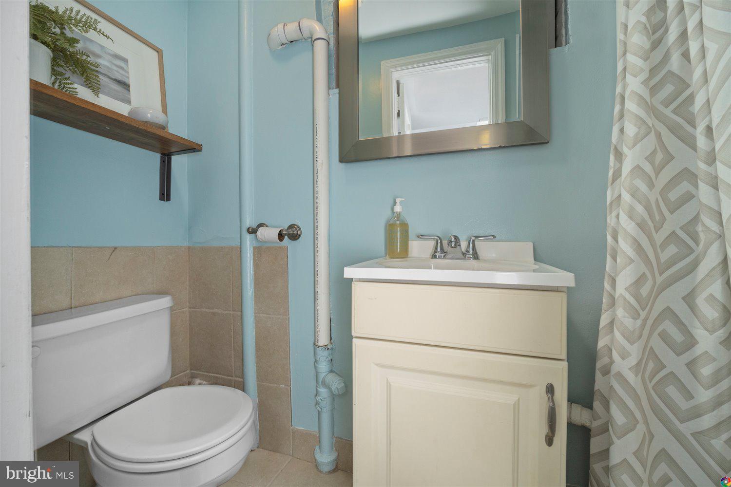 3008 Russell Road Alexandria, VA 22305 - Photo 26 of 56 Lower level bathroom with shower