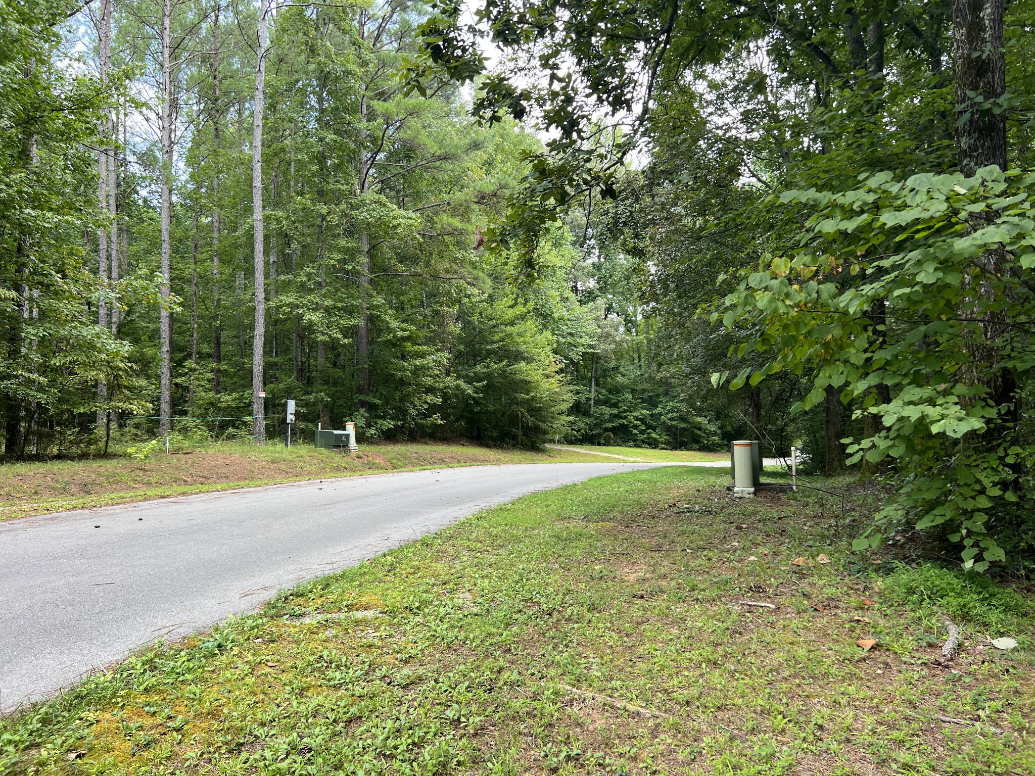 0 Allen Bend Road Smithville, TN 37166 - Photo 4 of 8 Gallery Image 4