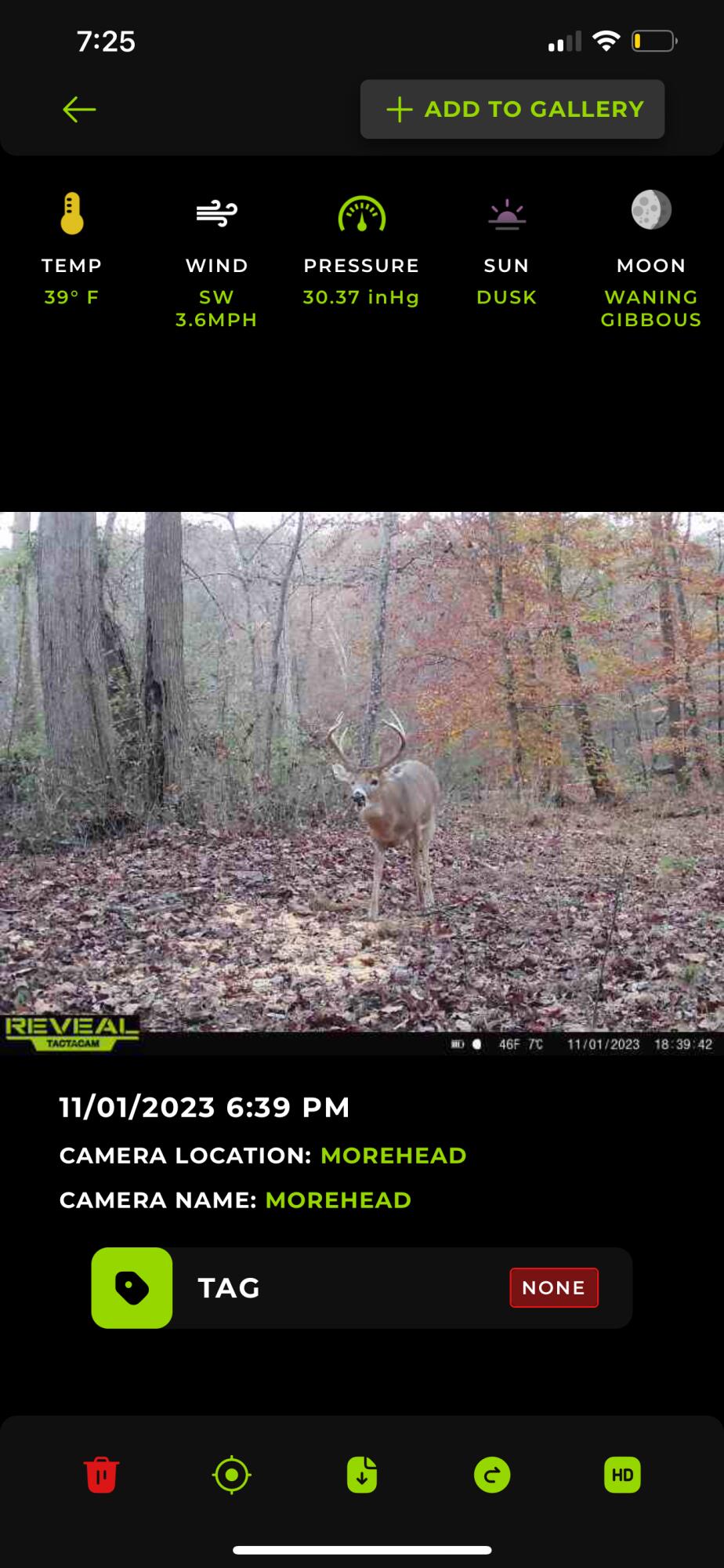 4135 Bullfork Road Morehead, KY 40351 - Photo 29 of 32 IMG_6014