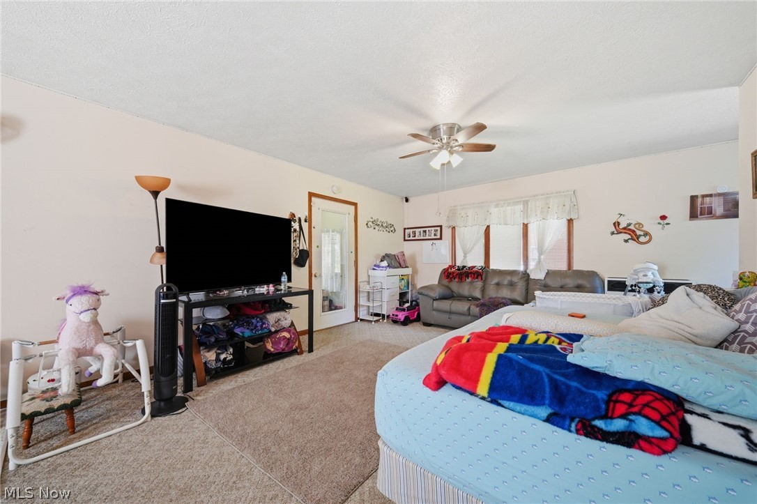 5582 South Ridge Road Madison, OH 44057 - Photo 44 of 45