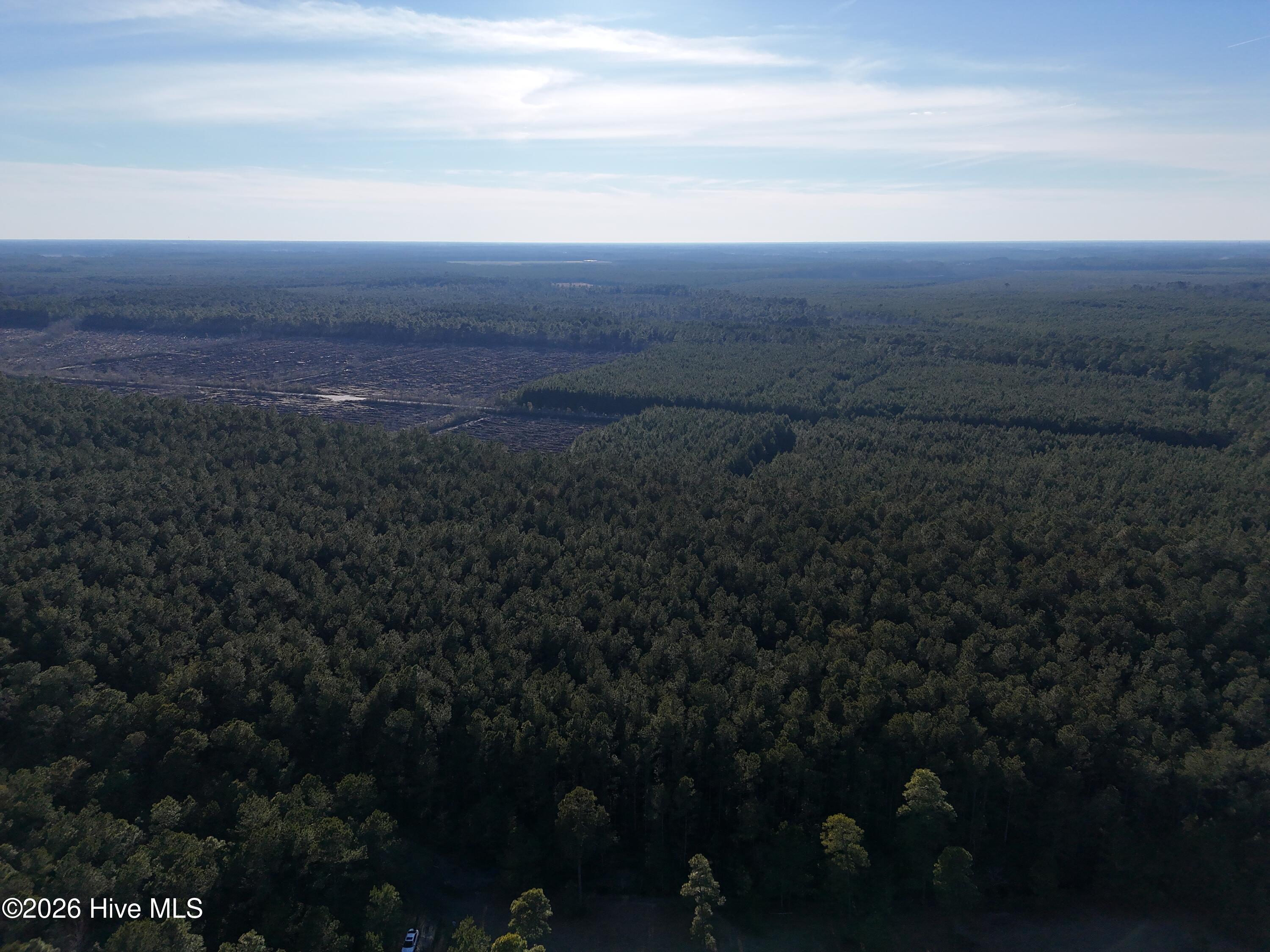 40-acres Haw Branch Road Beulaville, NC 28518 - Photo 7 of 10 dji_fly_20260214_161236_0151_17711038540