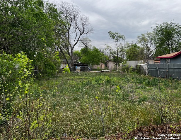 131 Amaya San Antonio, TX 78237 - Photo 5 of 6