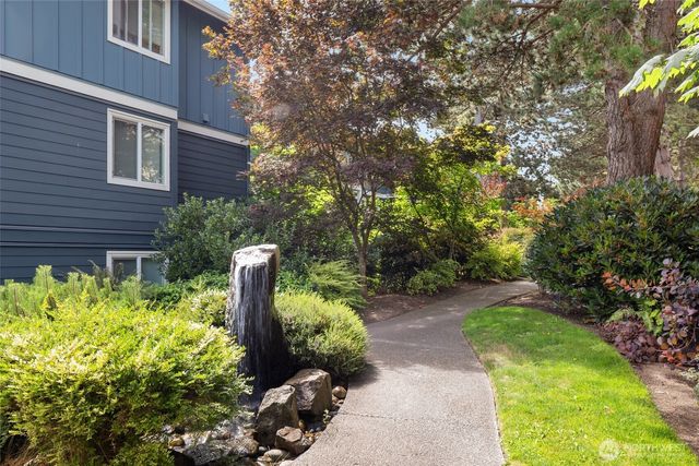 a view of a garden with plants