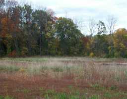 Newbridge Road Louisville, KY 40291 - Photo 1 of 1 Primary Photo