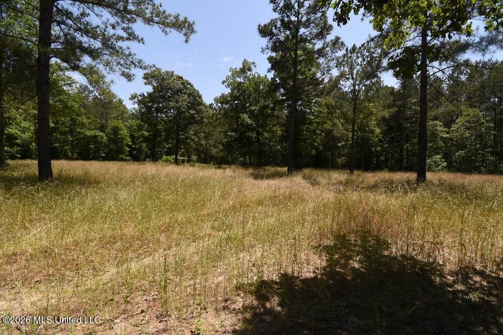 0 Miller Road Olive Branch, MS 38654 - Photo 17 of 26 5-15-2025-7-20-34-AM