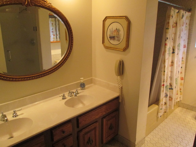75 Boardwalk Place, Unit 101 Park Ridge, IL 60068 - Photo 11 of 16 a bathroom with a sink and a mirror