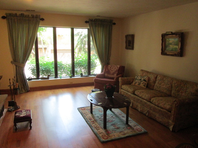 75 Boardwalk Place, Unit 101 Park Ridge, IL 60068 - Photo 5 of 16 a living room with furniture and a large window