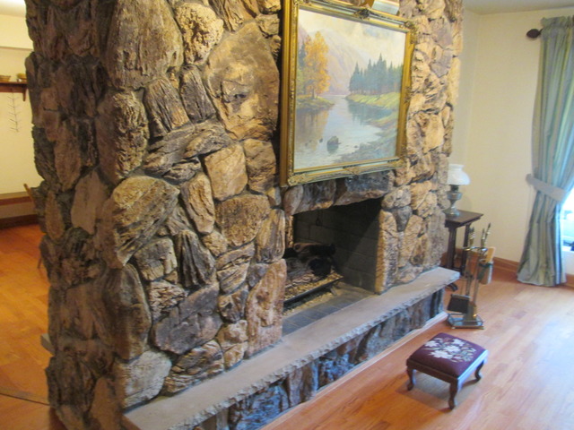 75 Boardwalk Place, Unit 101 Park Ridge, IL 60068 - Photo 6 of 16 a living room with furniture and a fireplace