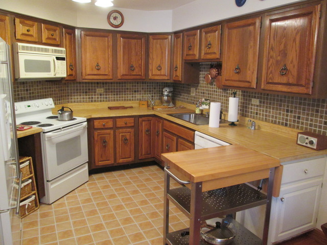 75 Boardwalk Place, Unit 101 Park Ridge, IL 60068 - Photo 8 of 16 a kitchen with a sink appliances and cabinets