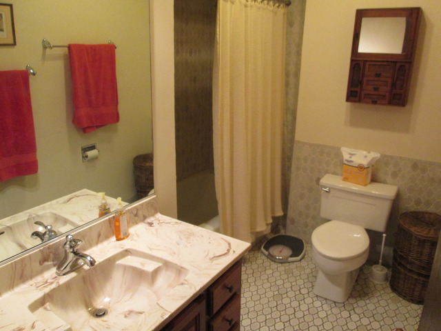 75 Boardwalk Place, Unit 101 Park Ridge, IL 60068 - Photo 9 of 16 a bathroom with a sink toilet and a mirror