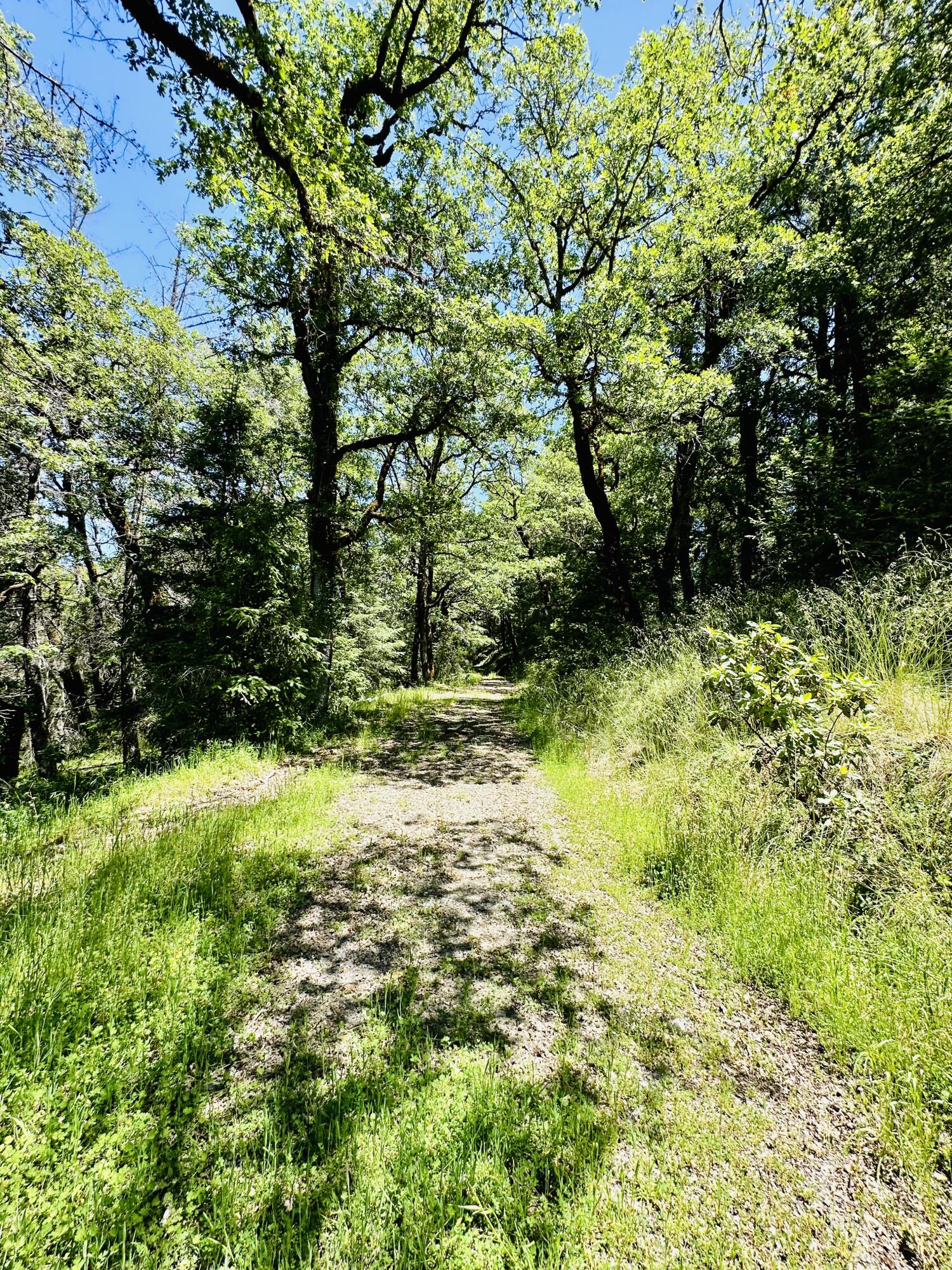 400 Seely Creek Road Redway, CA 95560 - Photo 48 of 73
