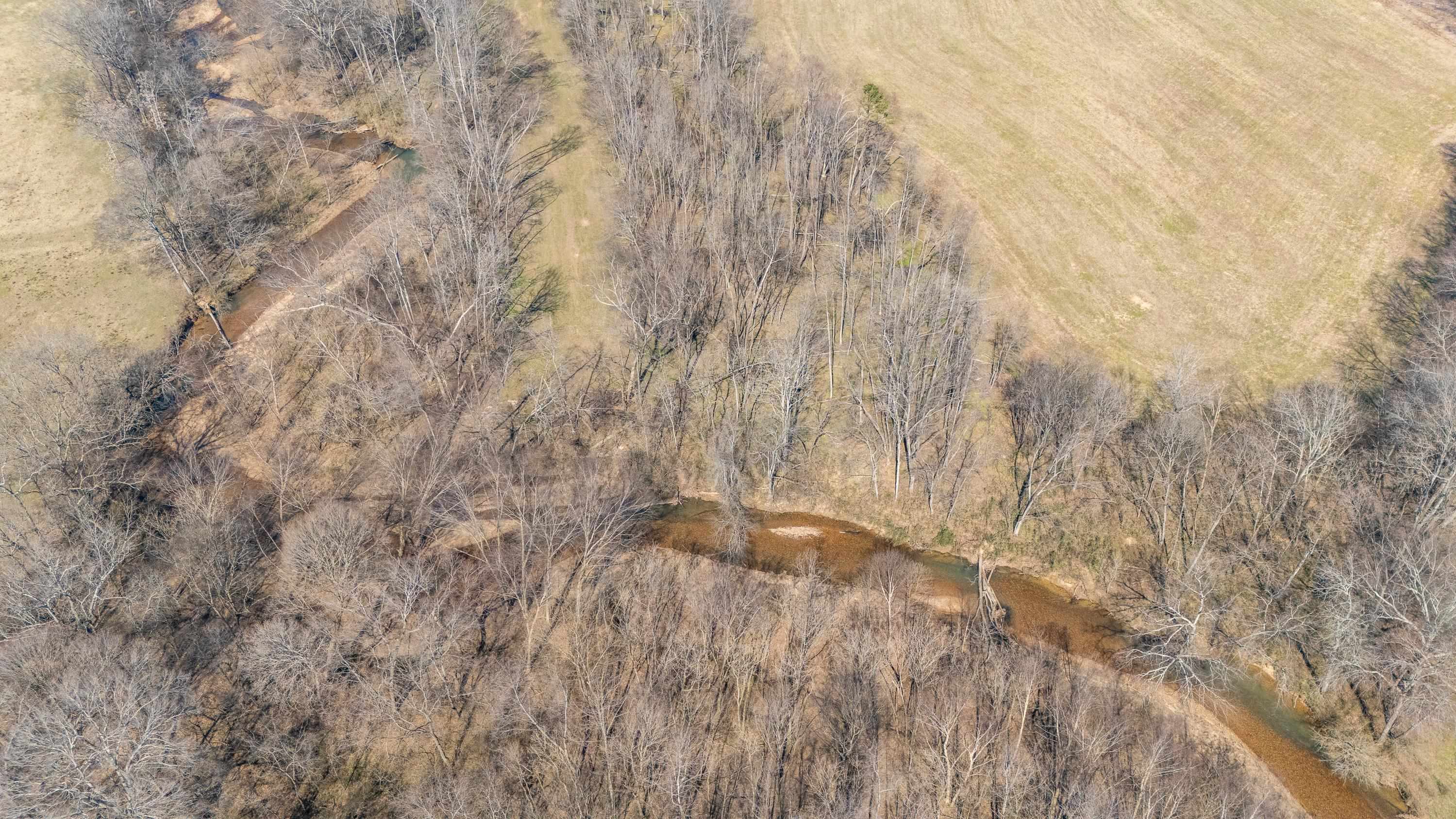 4 Old Weatherford Creek Road Lutts, TN 38471 - Photo 11 of 37