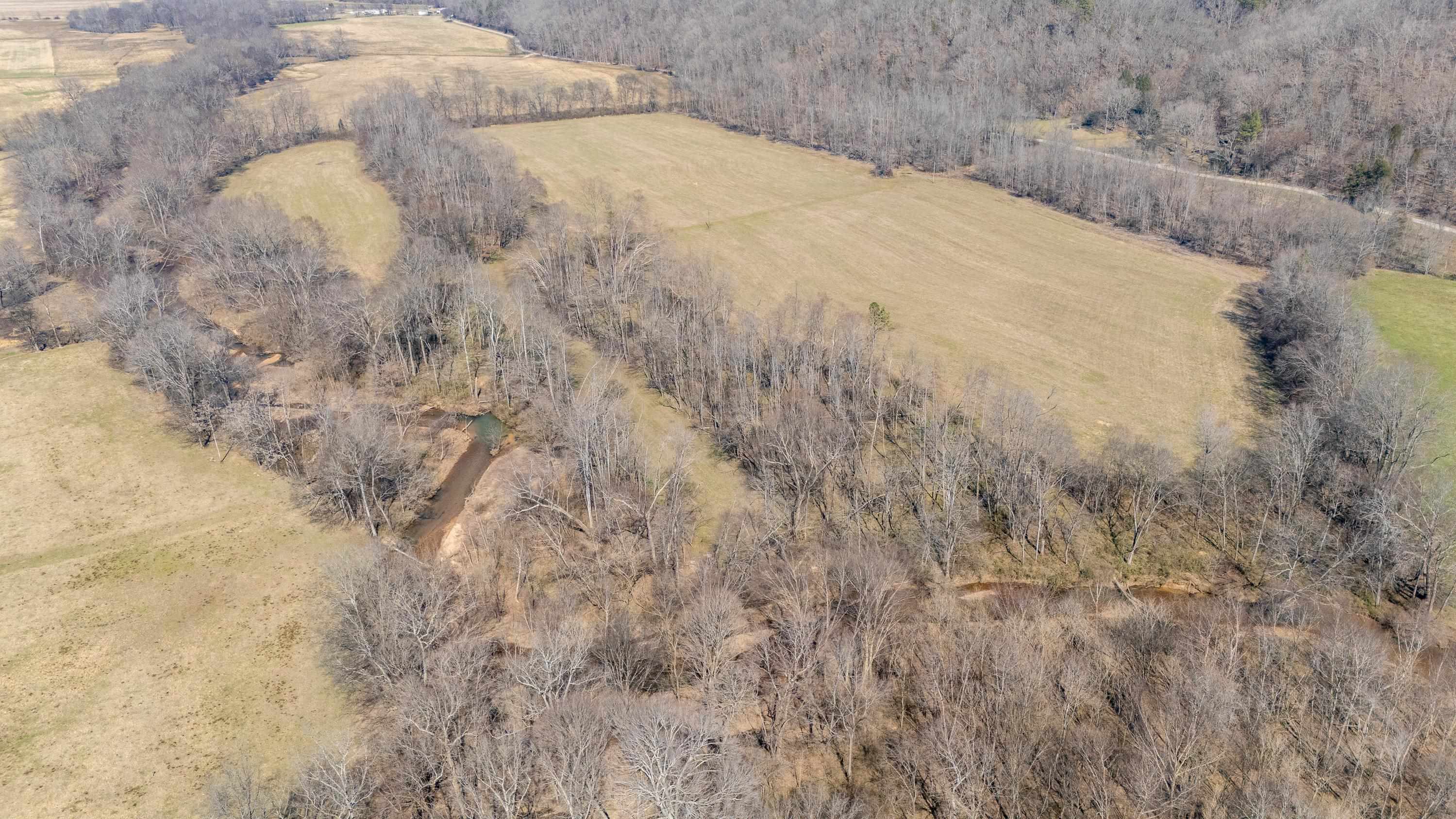 4 Old Weatherford Creek Road Lutts, TN 38471 - Photo 12 of 37