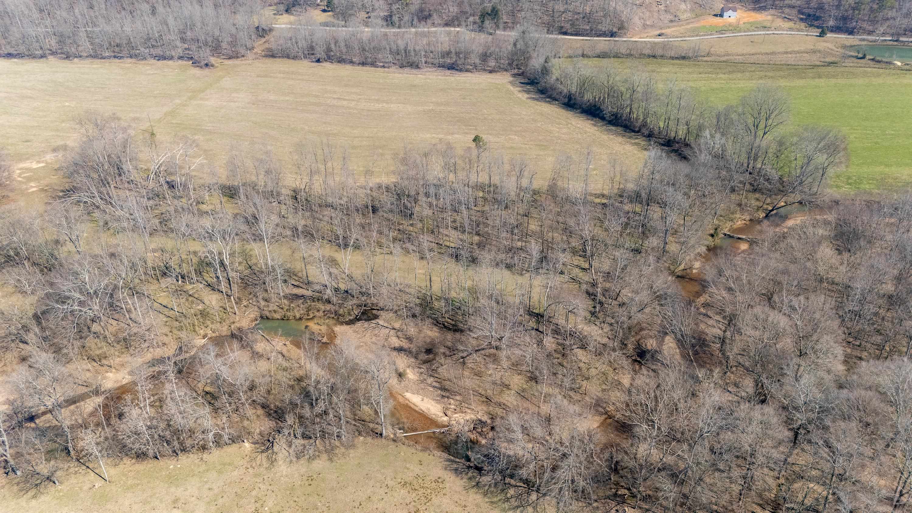 4 Old Weatherford Creek Road Lutts, TN 38471 - Photo 13 of 37