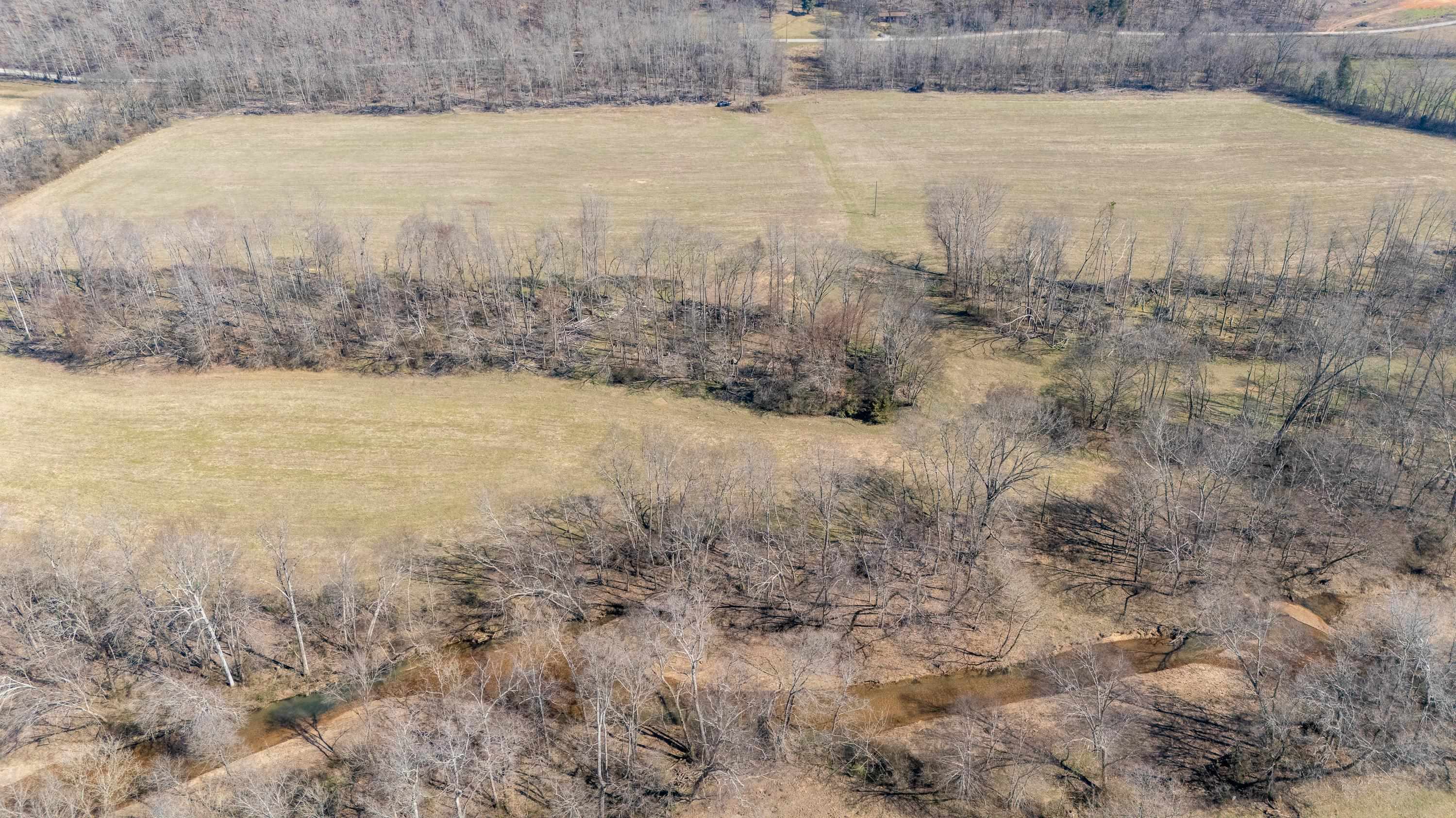 4 Old Weatherford Creek Road Lutts, TN 38471 - Photo 15 of 37