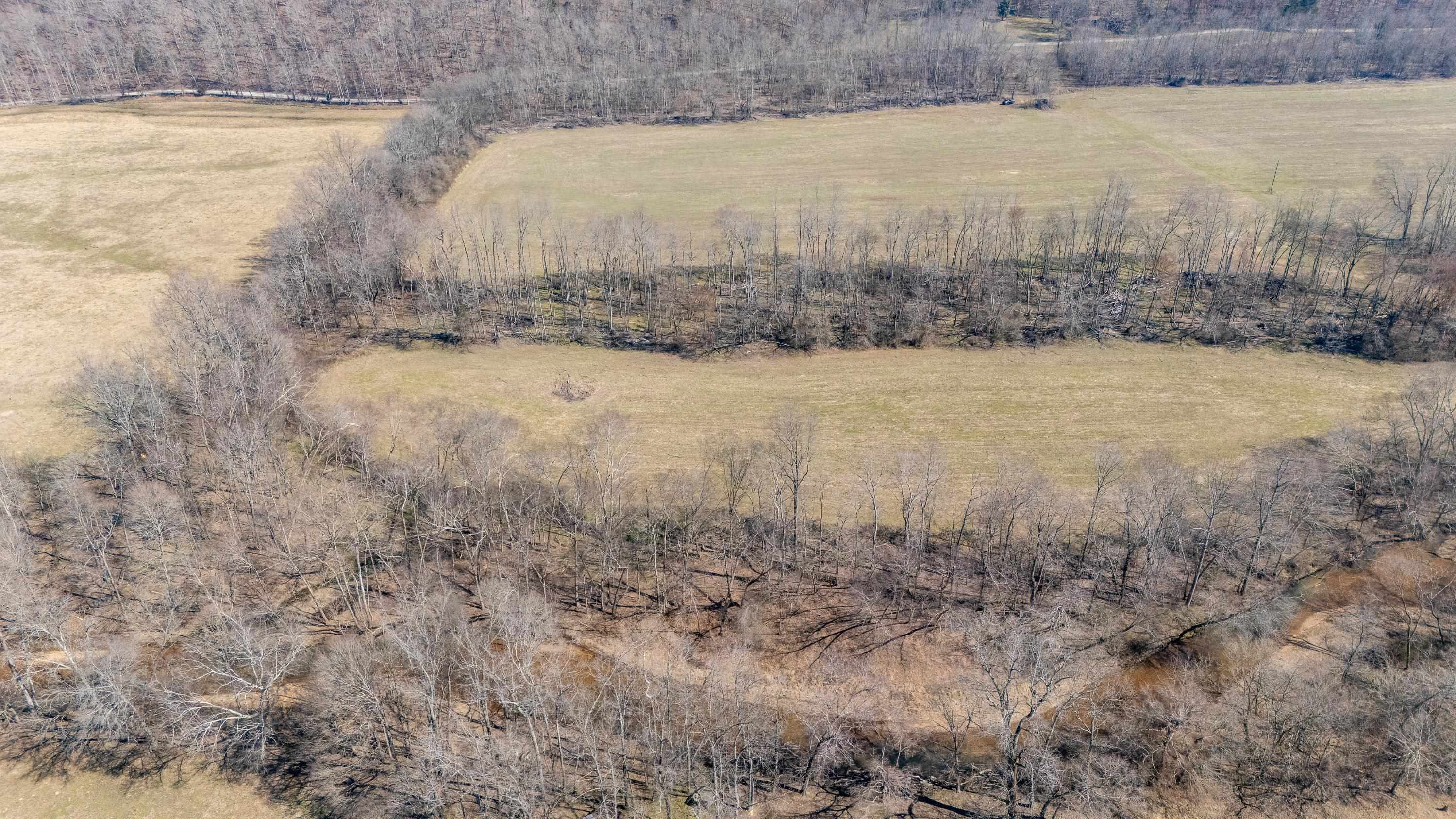 4 Old Weatherford Creek Road Lutts, TN 38471 - Photo 16 of 37