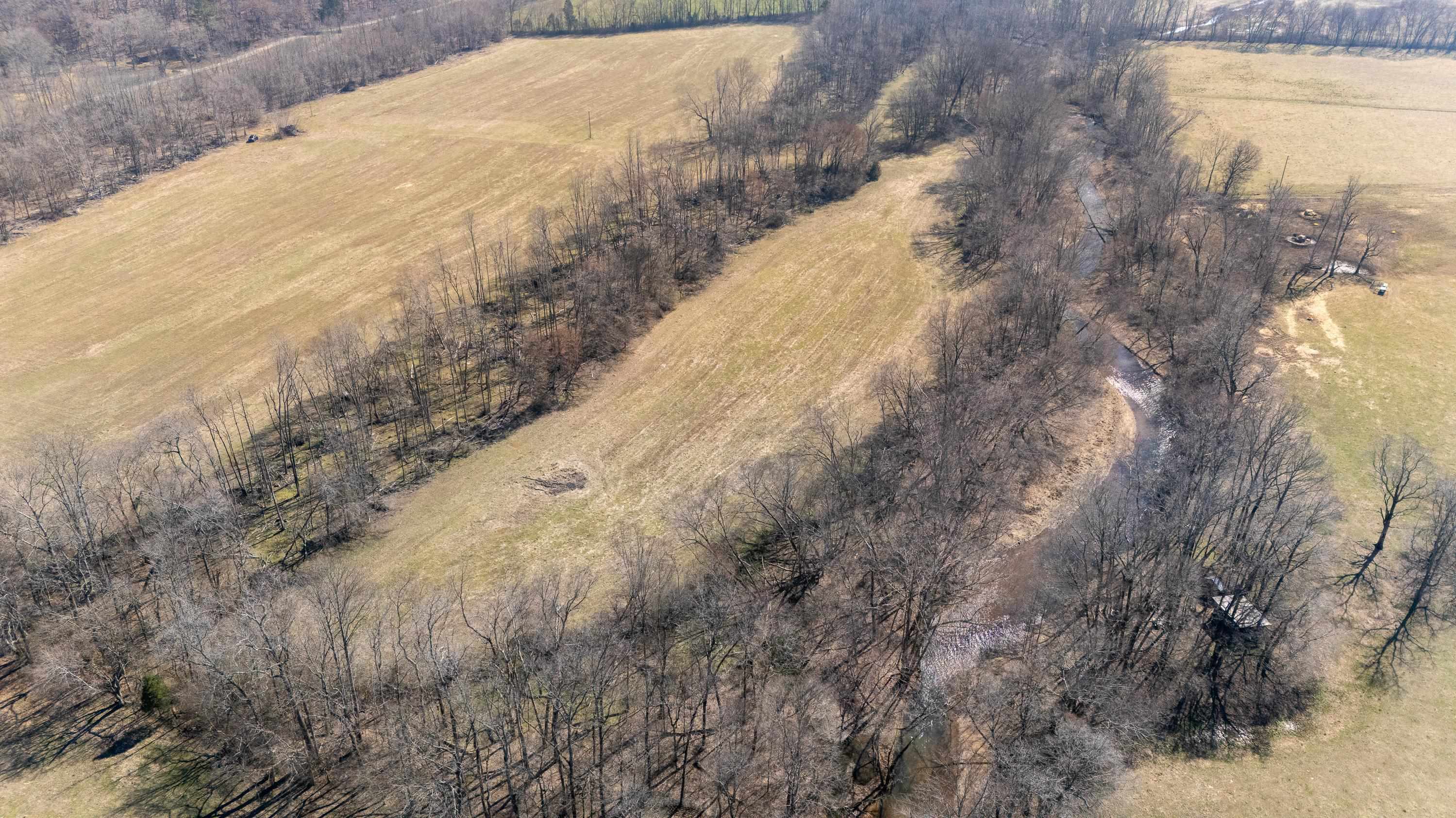 4 Old Weatherford Creek Road Lutts, TN 38471 - Photo 19 of 37