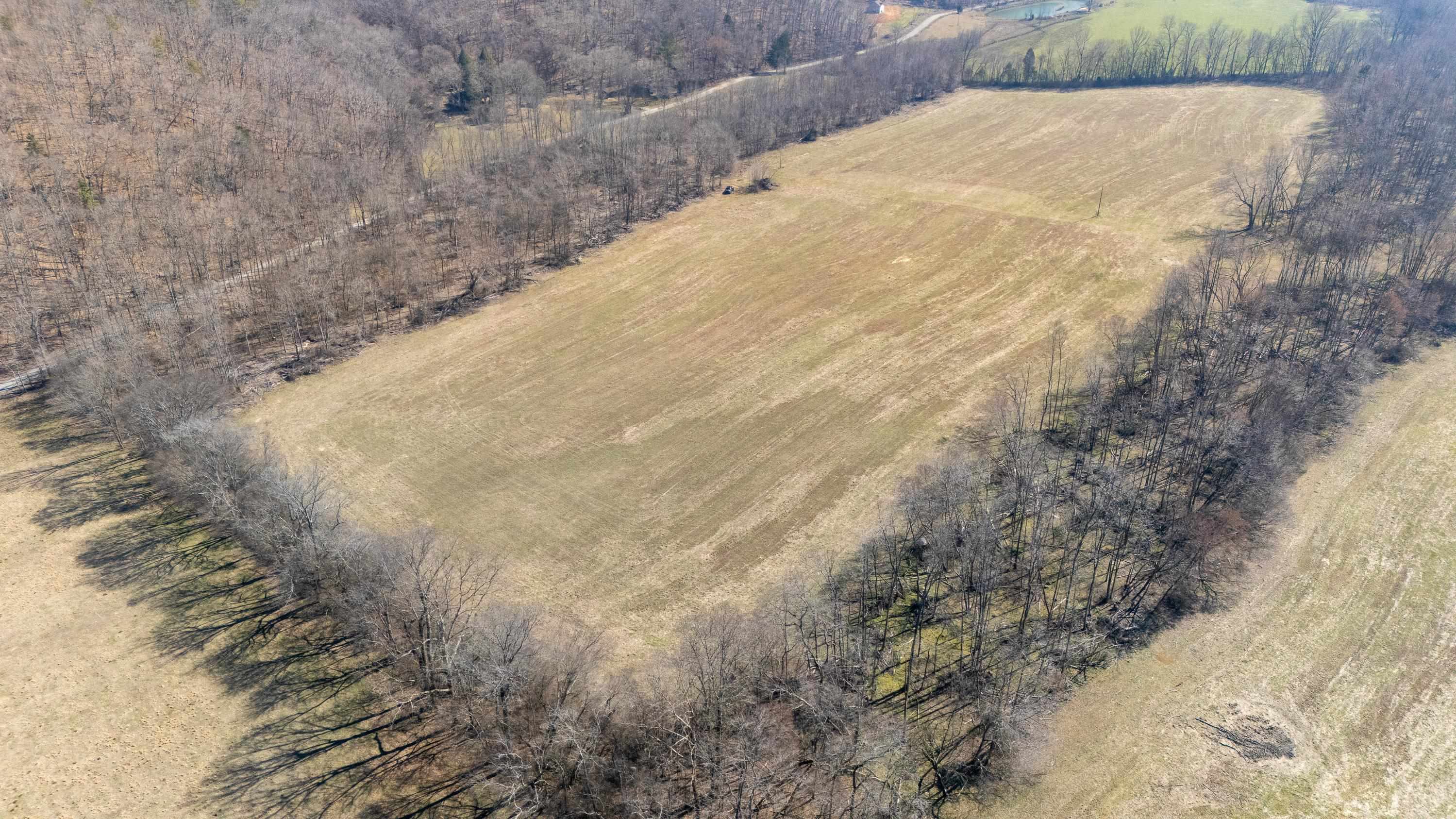 4 Old Weatherford Creek Road Lutts, TN 38471 - Photo 20 of 37