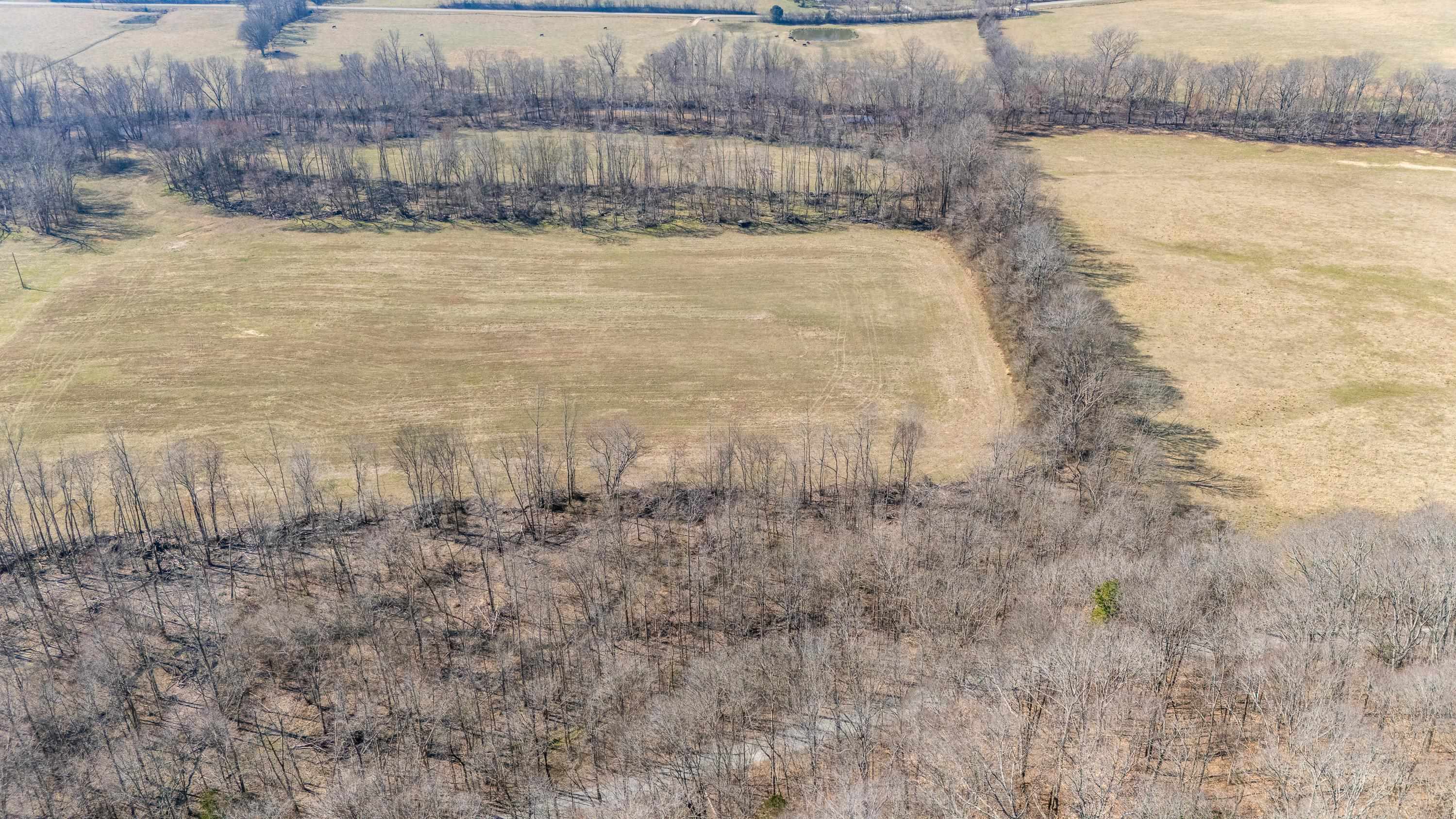 4 Old Weatherford Creek Road Lutts, TN 38471 - Photo 2 of 37