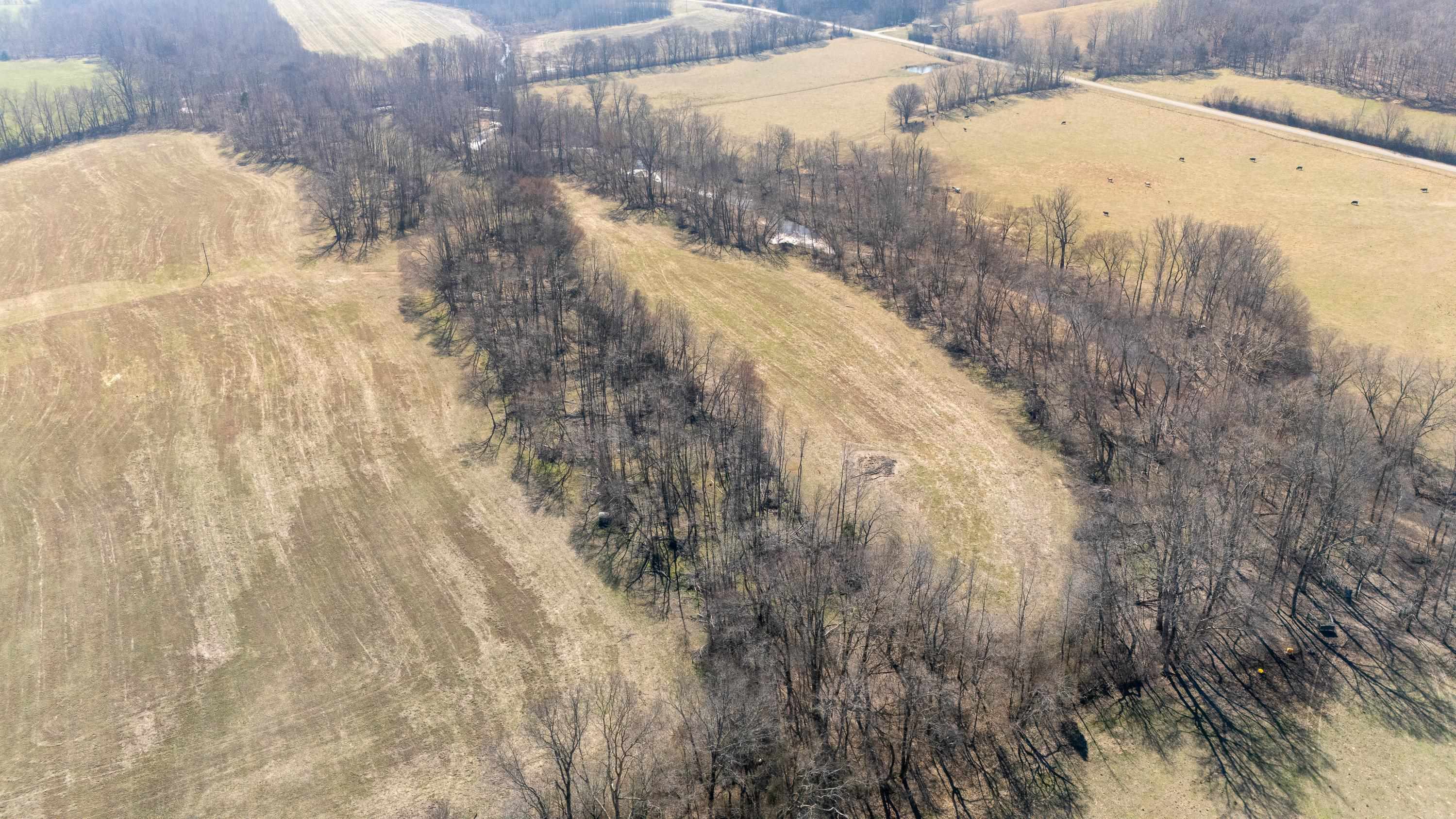 4 Old Weatherford Creek Road Lutts, TN 38471 - Photo 22 of 37