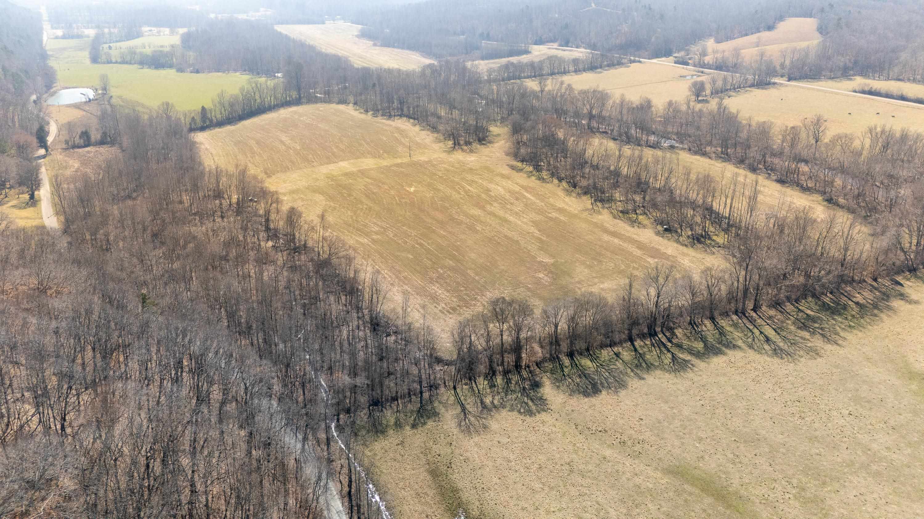 4 Old Weatherford Creek Road Lutts, TN 38471 - Photo 24 of 37