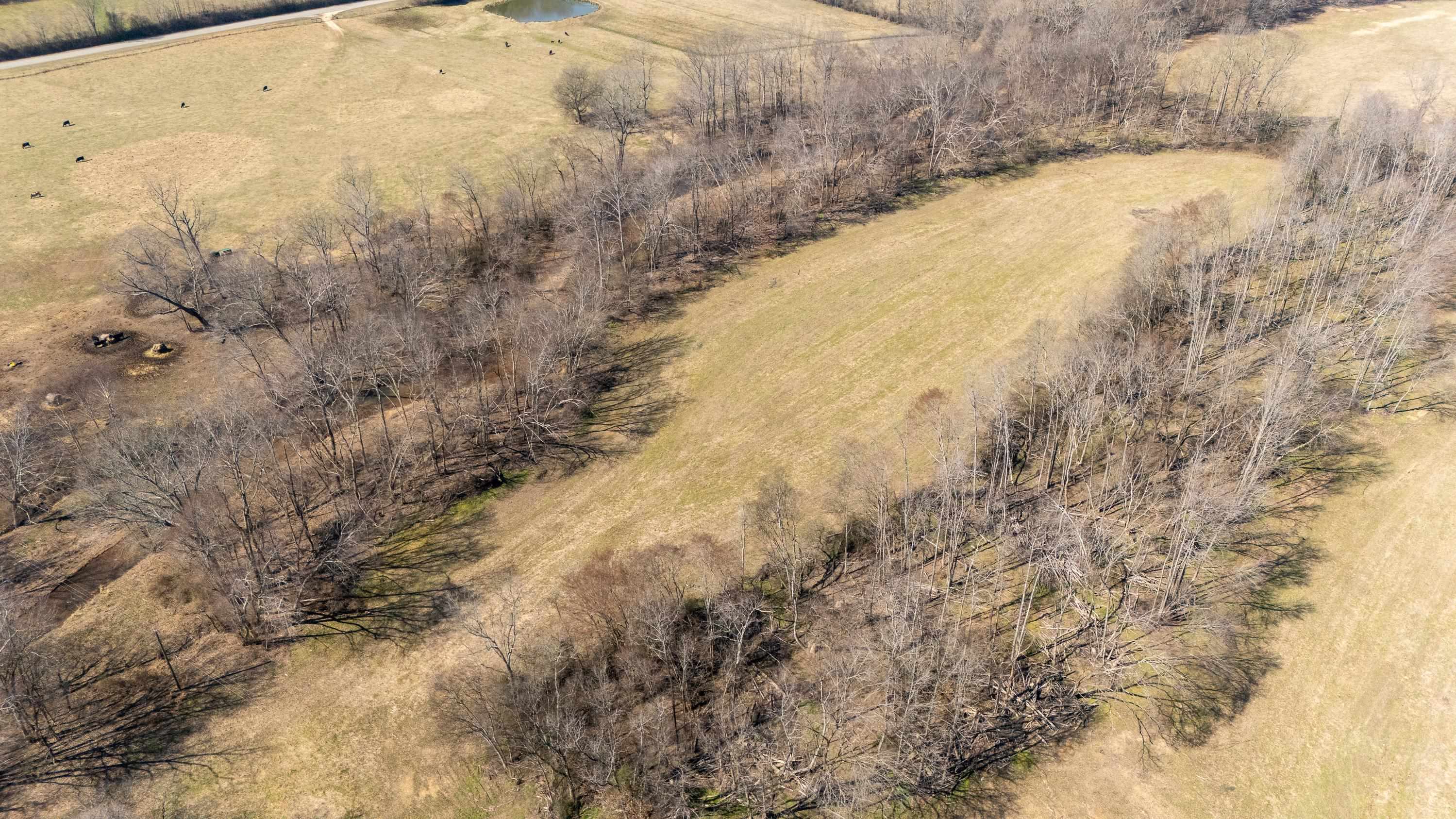 4 Old Weatherford Creek Road Lutts, TN 38471 - Photo 26 of 37