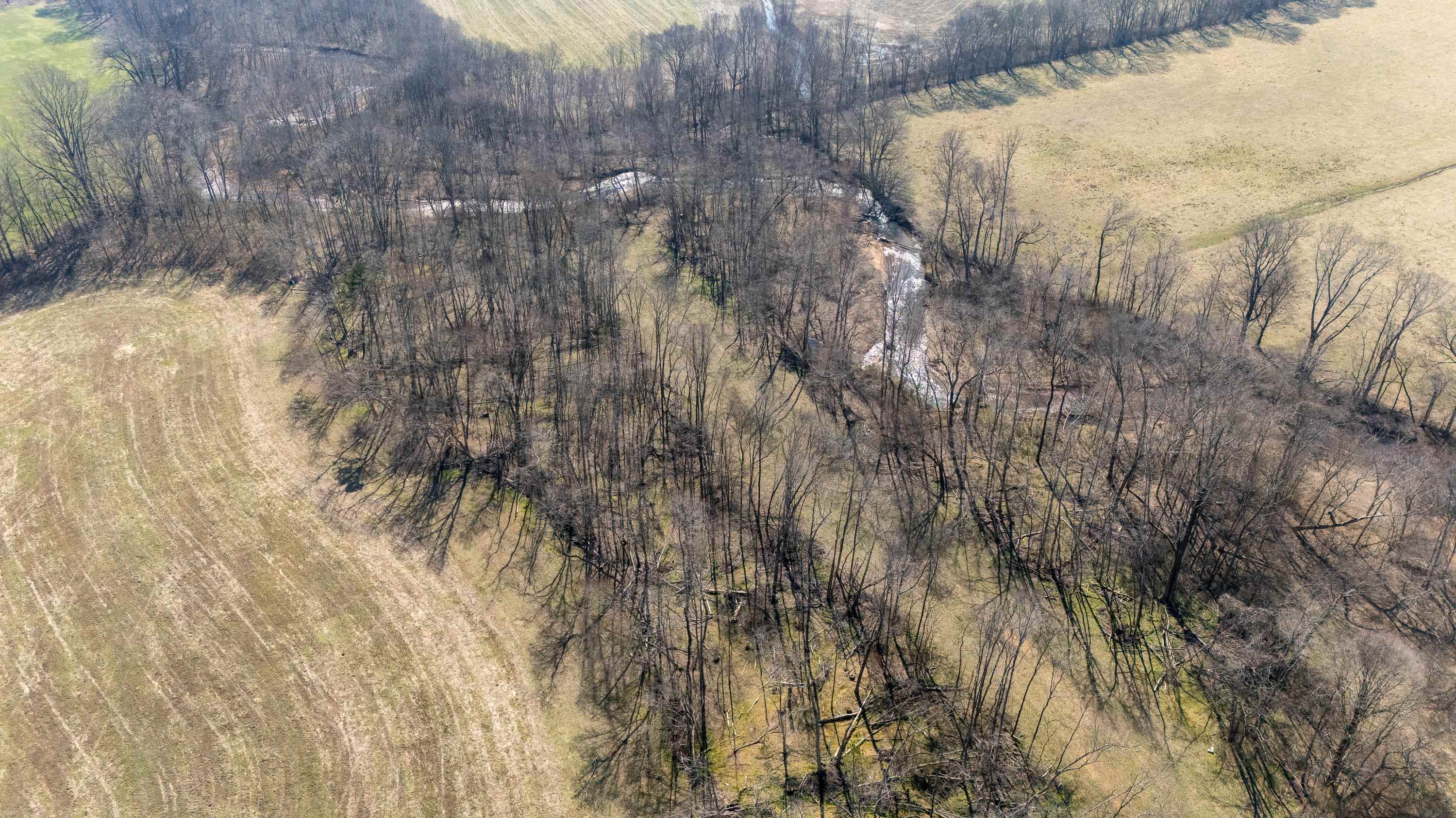 4 Old Weatherford Creek Road Lutts, TN 38471 - Photo 27 of 37