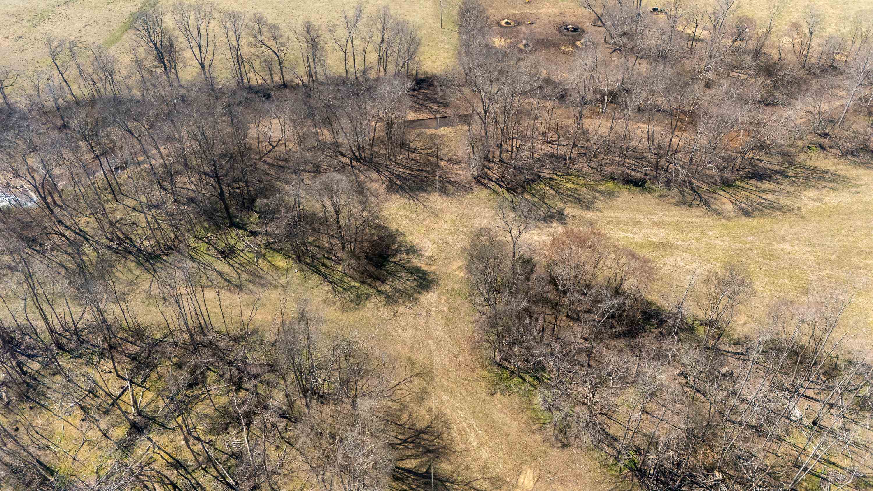 4 Old Weatherford Creek Road Lutts, TN 38471 - Photo 28 of 37