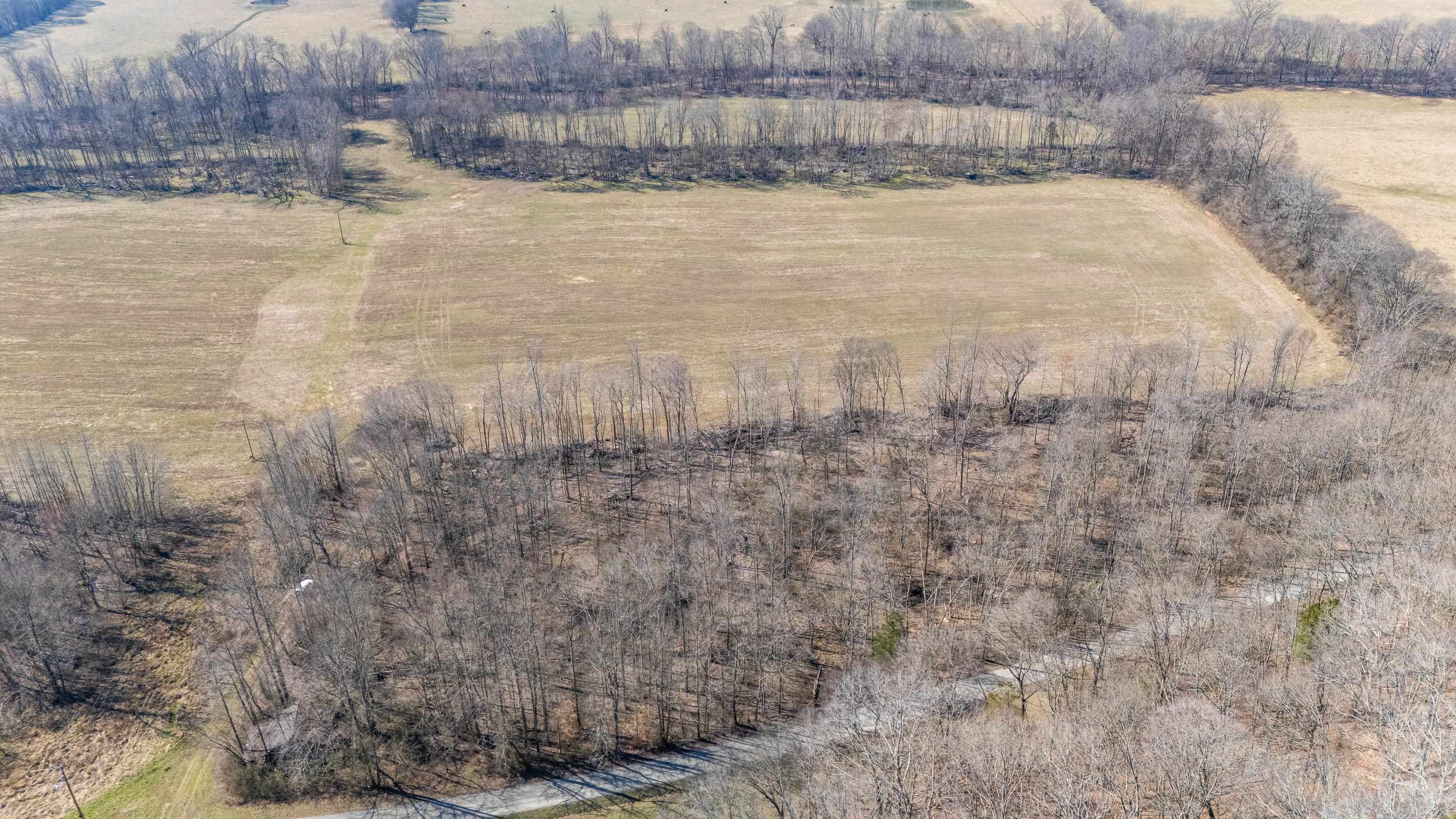 4 Old Weatherford Creek Road Lutts, TN 38471 - Photo 3 of 37