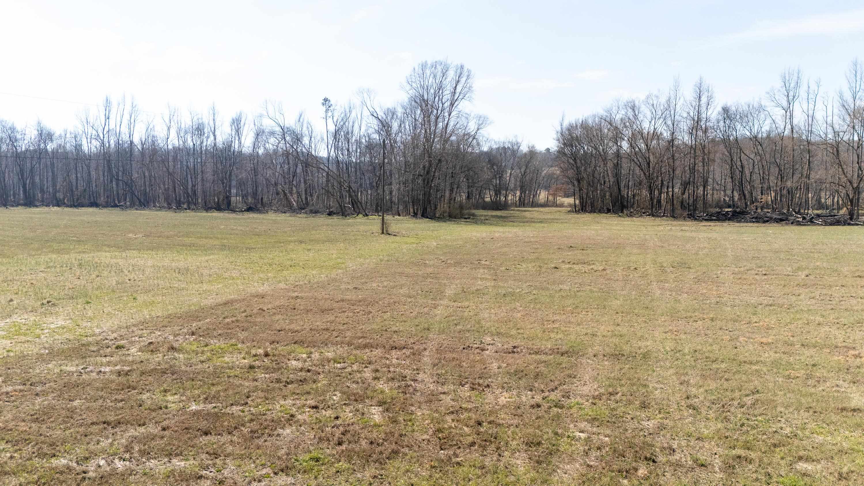 4 Old Weatherford Creek Road Lutts, TN 38471 - Photo 34 of 37