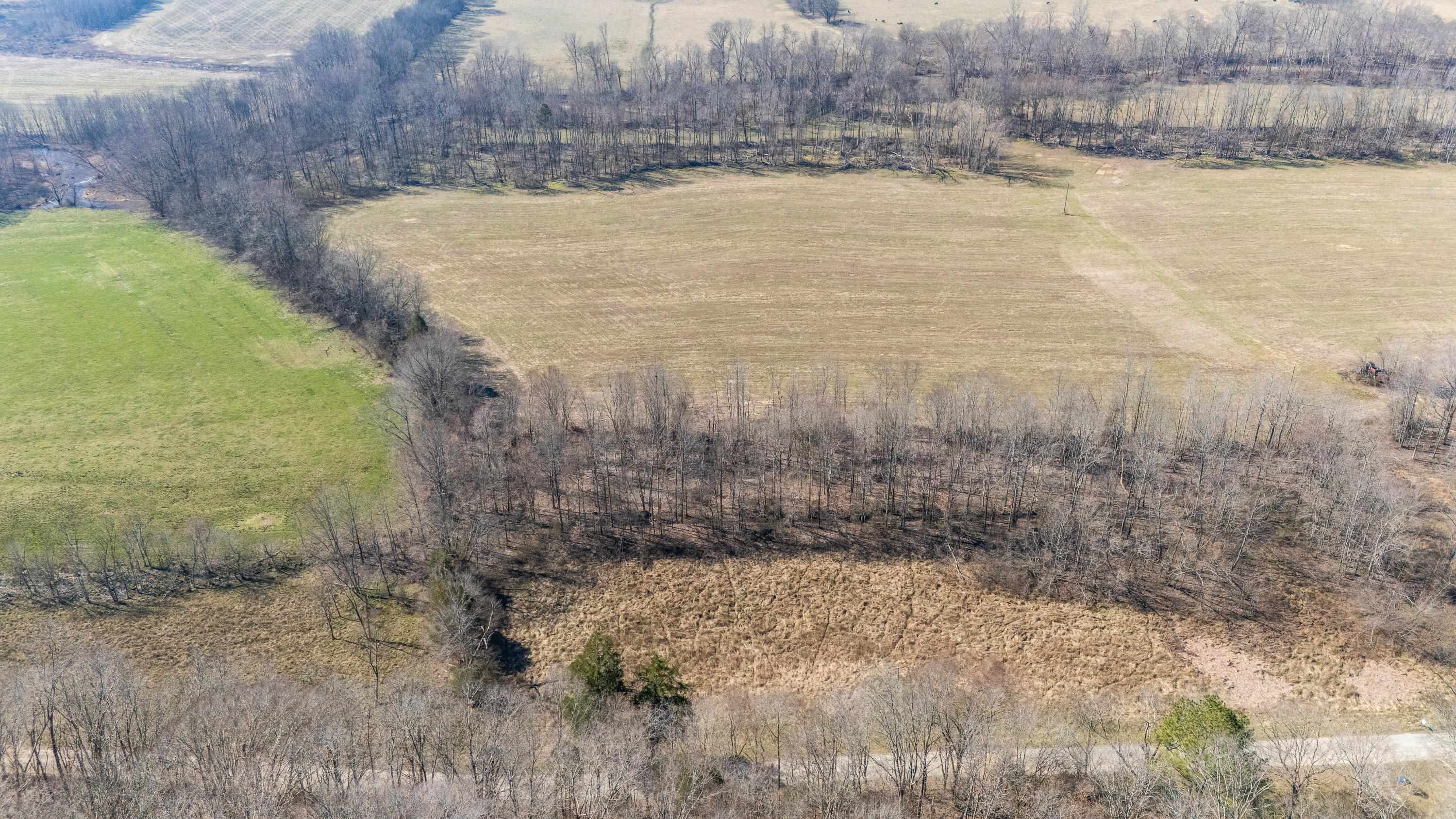 4 Old Weatherford Creek Road Lutts, TN 38471 - Photo 5 of 37