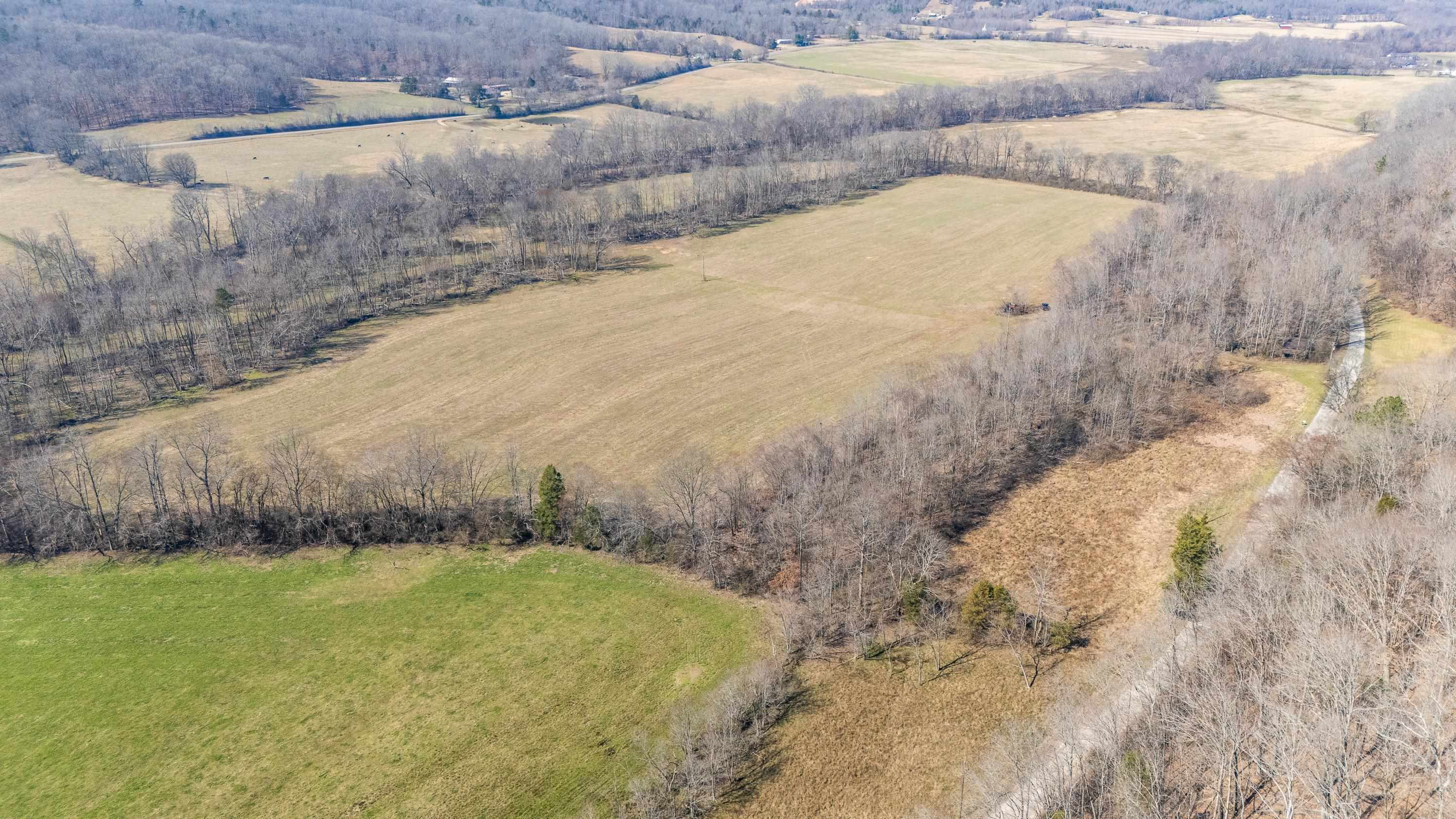 4 Old Weatherford Creek Road Lutts, TN 38471 - Photo 6 of 37