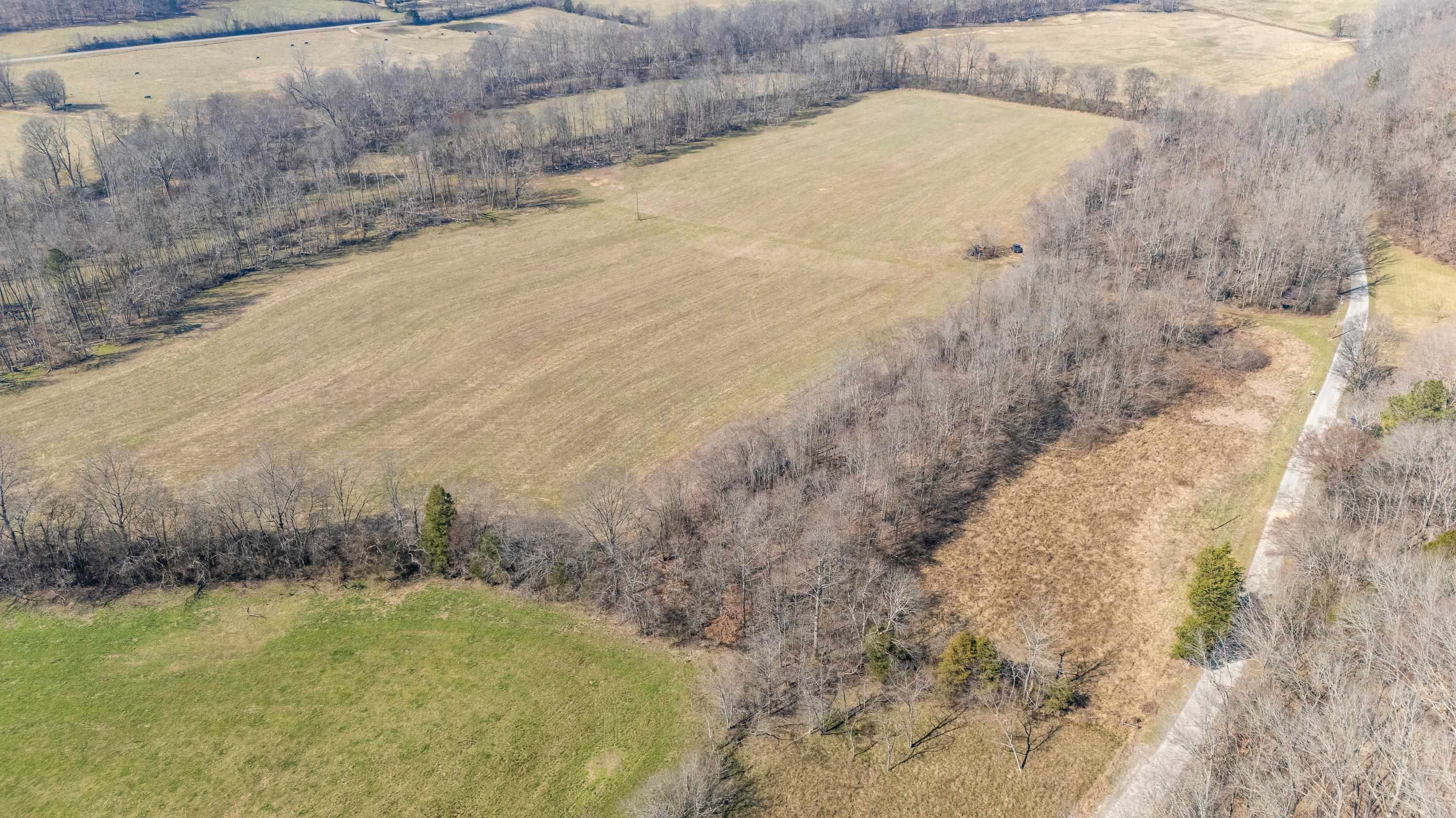 4 Old Weatherford Creek Road Lutts, TN 38471 - Photo 7 of 37