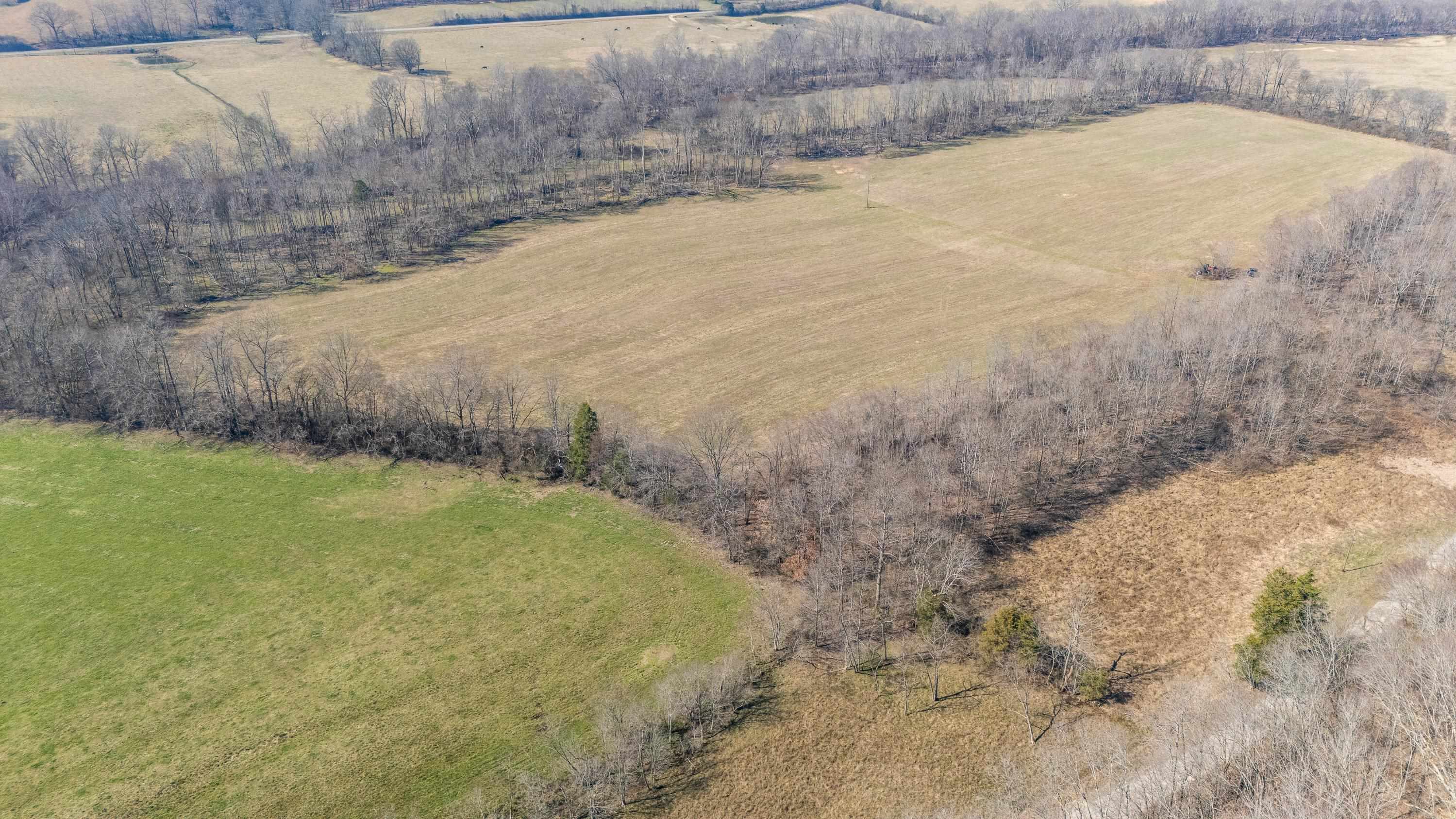 4 Old Weatherford Creek Road Lutts, TN 38471 - Photo 8 of 37