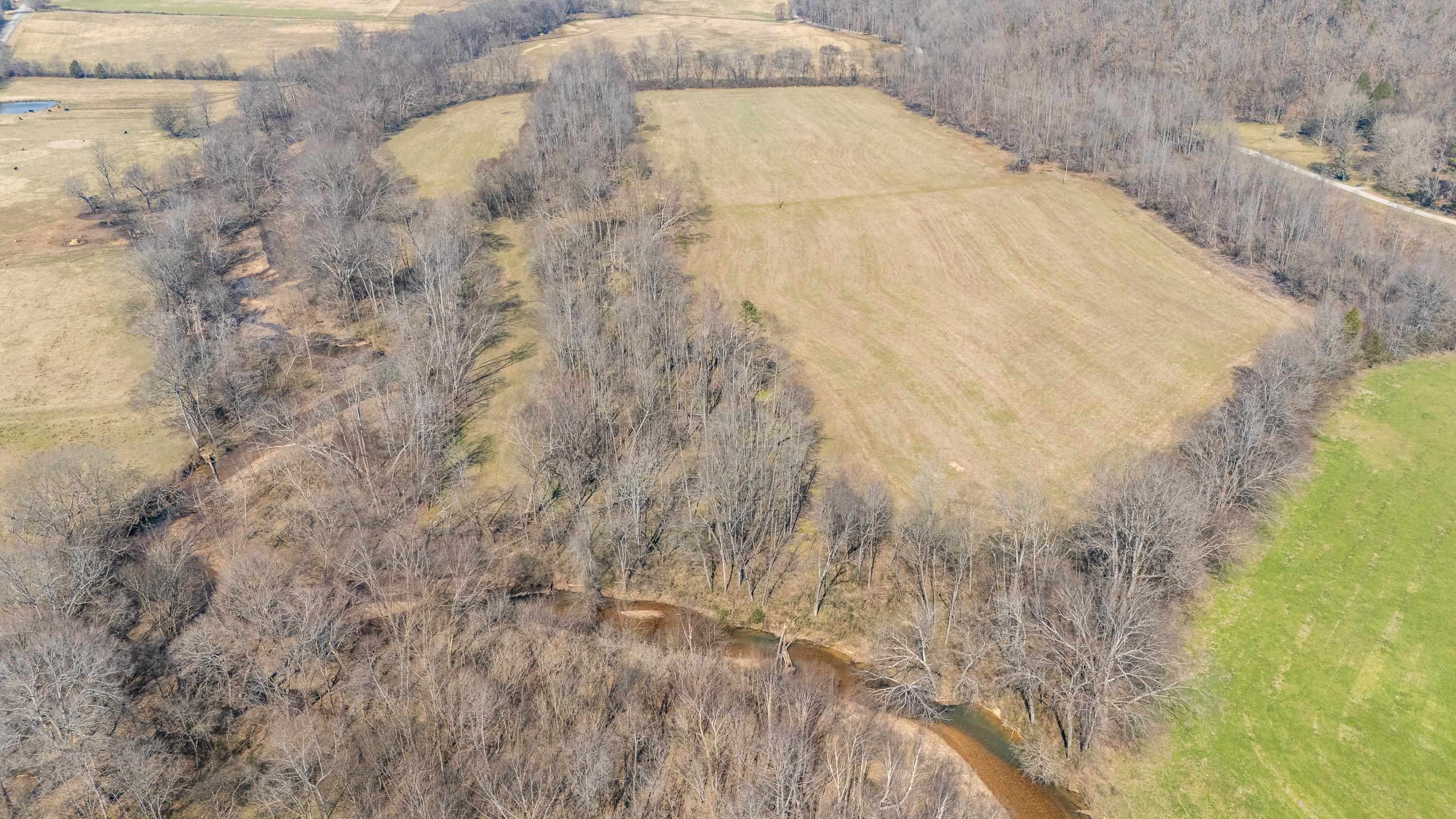 4 Old Weatherford Creek Road Lutts, TN 38471 - Photo 9 of 37