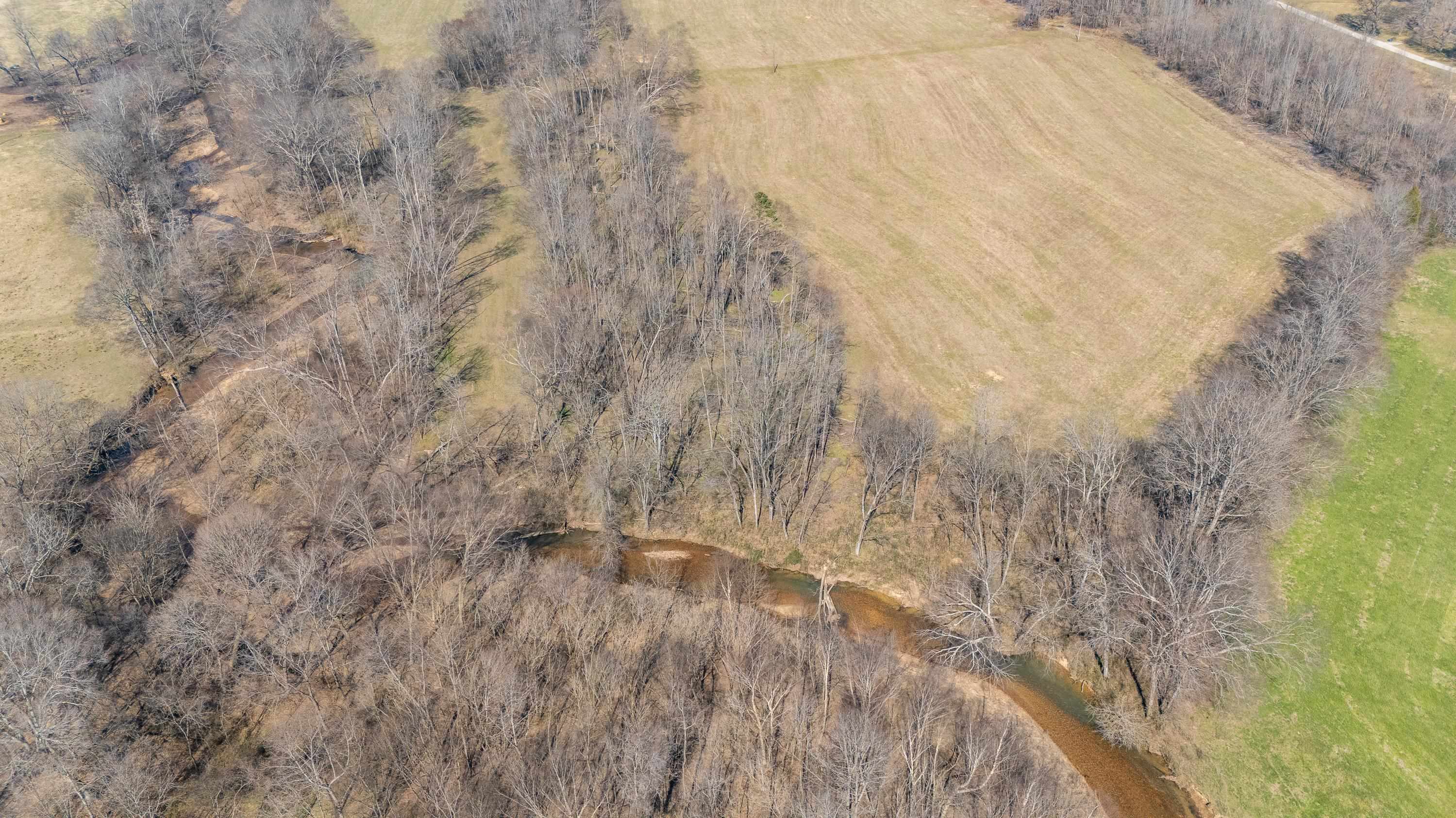 4 Old Weatherford Creek Road Lutts, TN 38471 - Photo 10 of 37