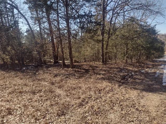 $6,500 | 0 Calista Drive, Bonne Terre, MO 63628