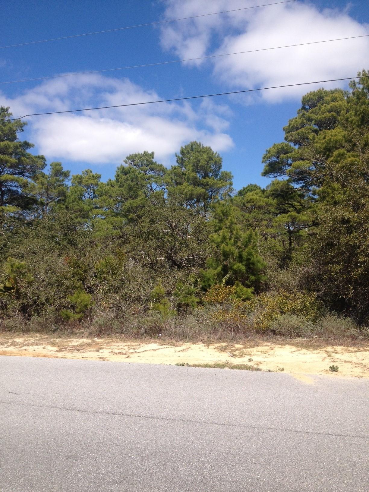 Lot 6 Ridge Road Santa Rosa Beach, FL 32459 - Photo 3 of 5 a view of a yard with an outdoor space